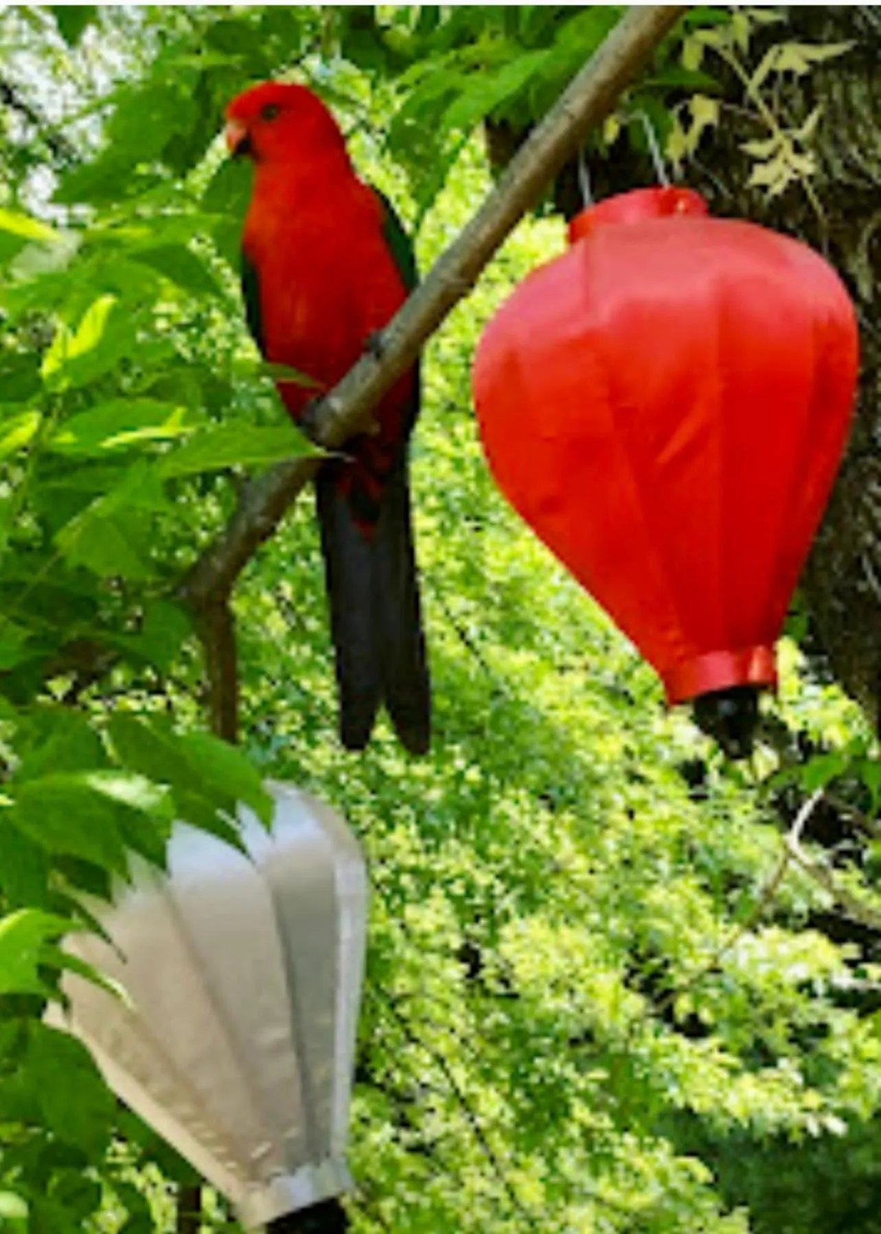 Natural landscape in Adina Lodge Holiday Apartments