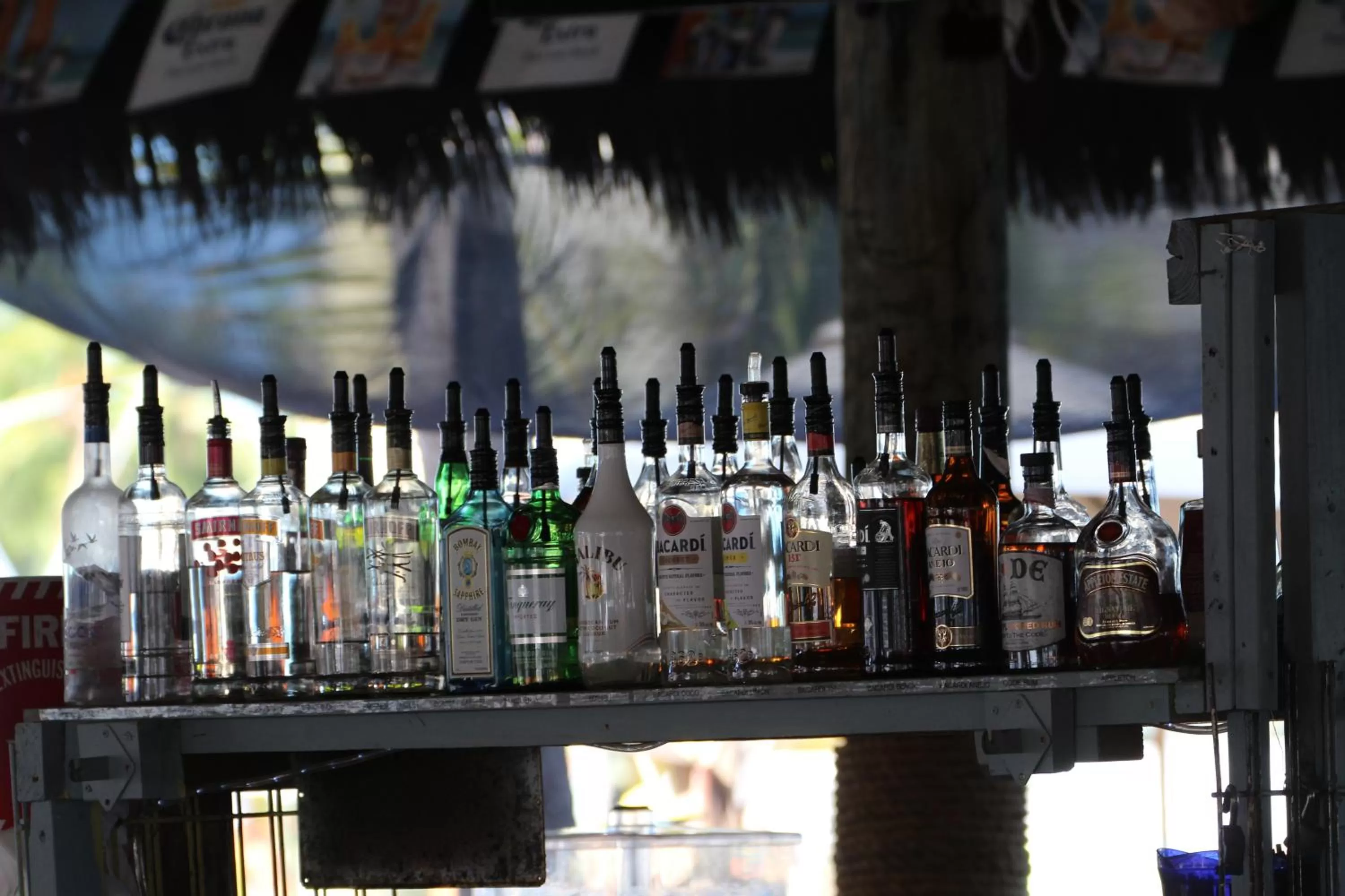 Lounge or bar in Gilbert's Resort