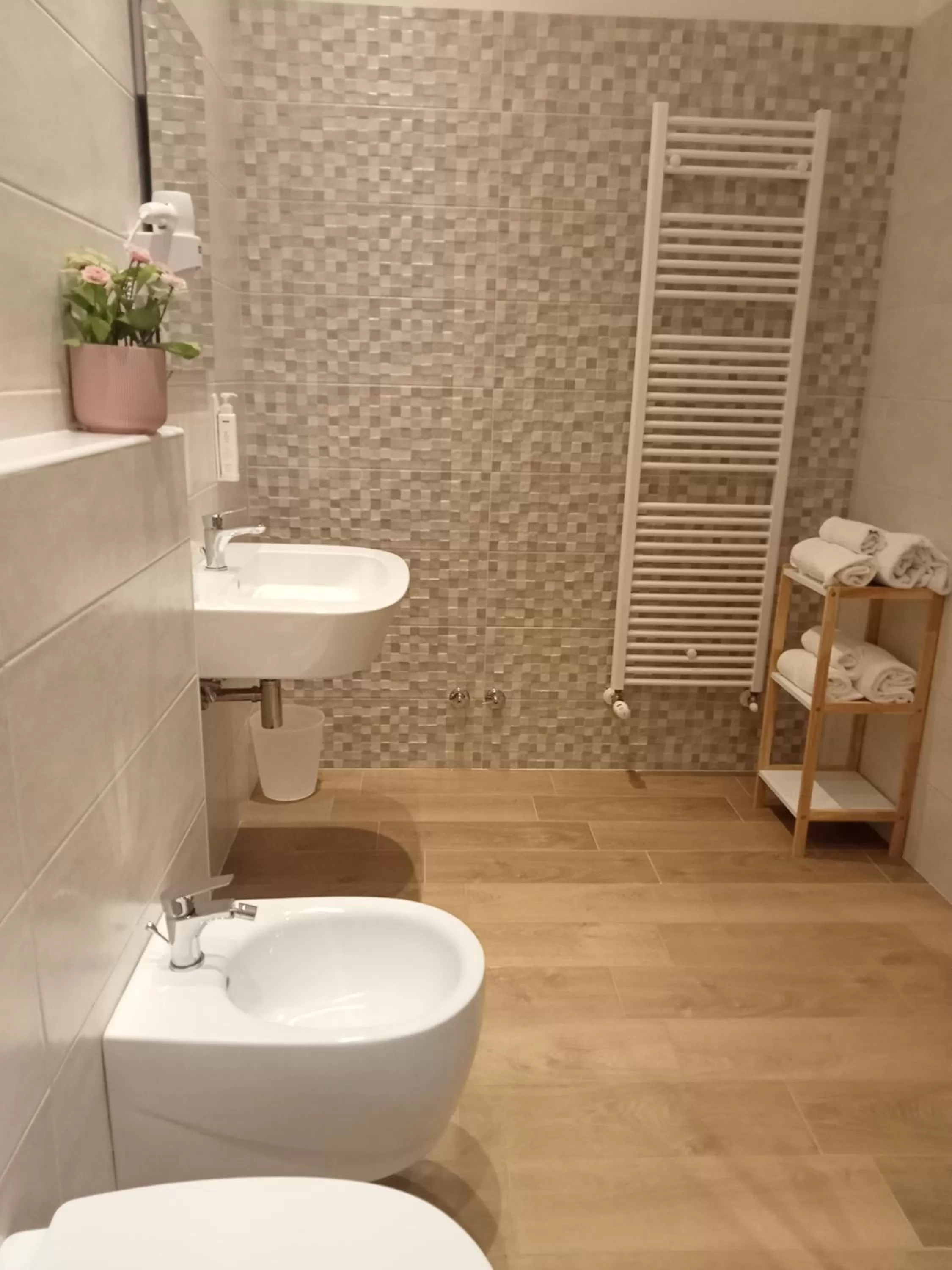 Shower in Hotel Porta Rivera