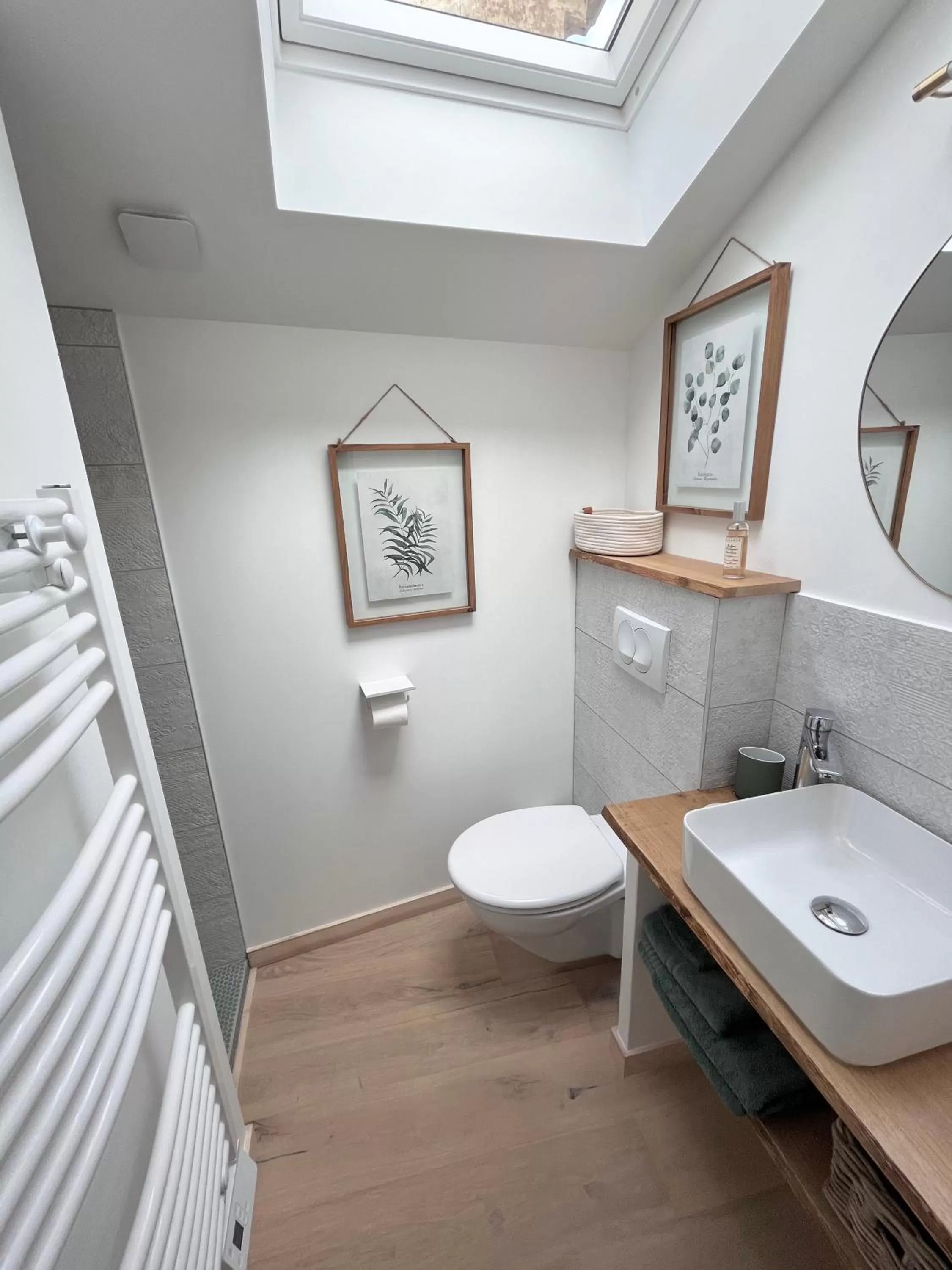 Toilet in La Grande Maison