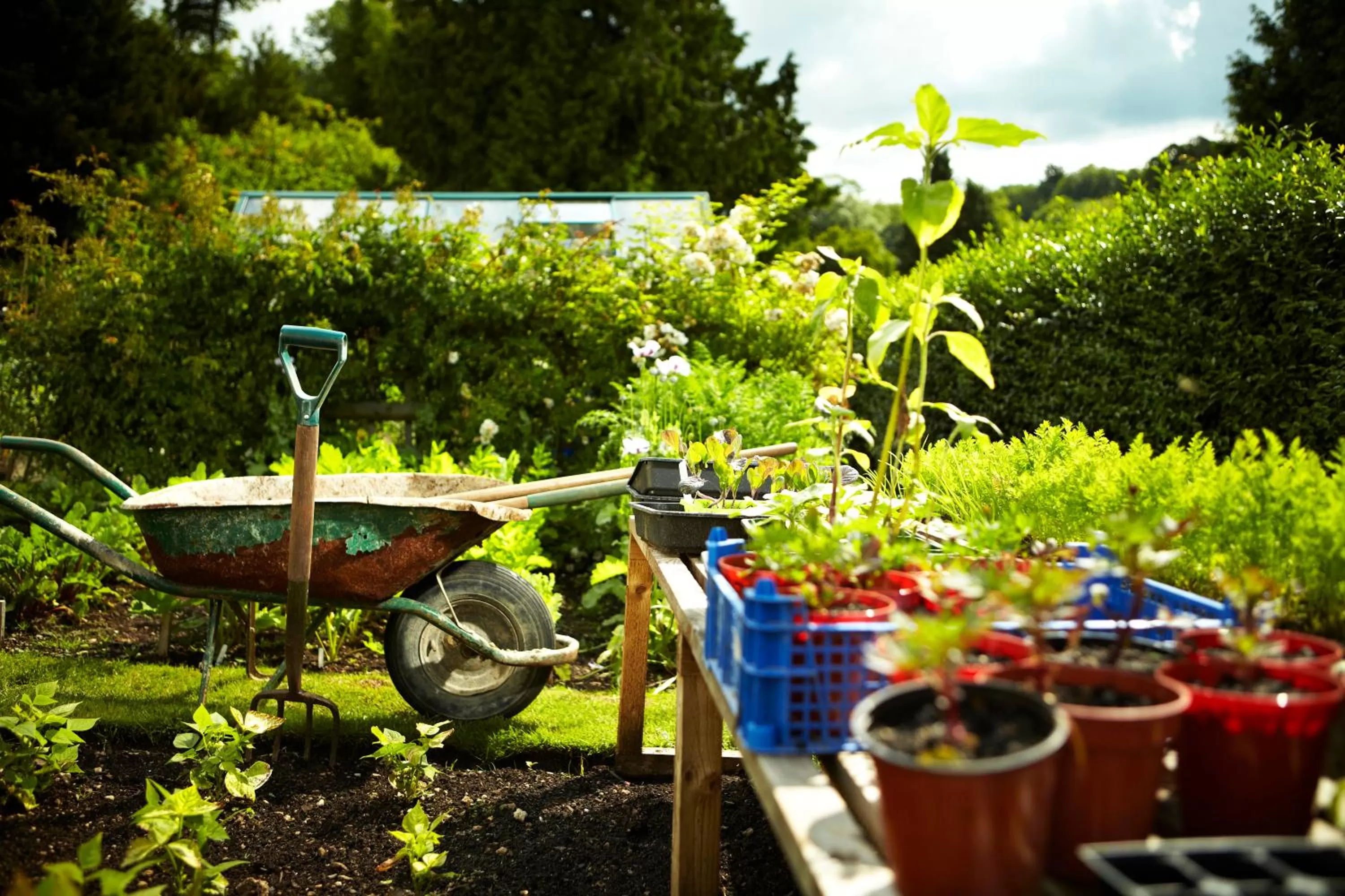 Garden, Guests in The Manor House Hotel and Golf Club