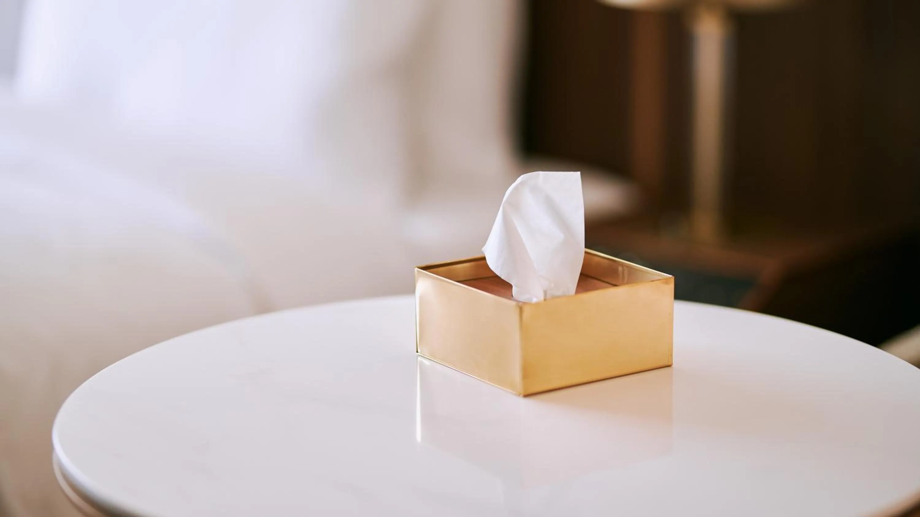 Decorative detail in NOHGA HOTEL AKIHABARA TOKYO