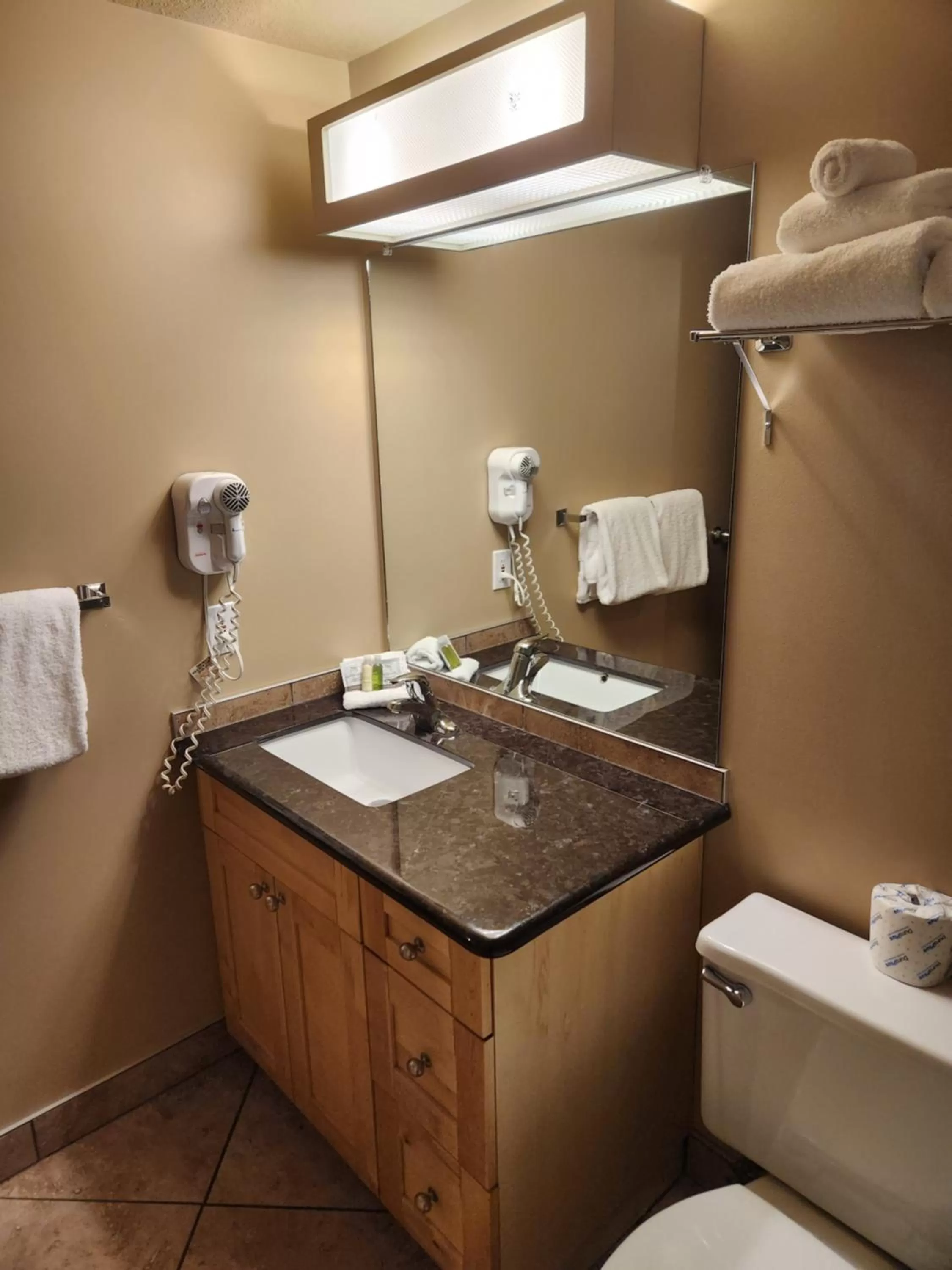 Toilet in Waterton Lakes Lodge Resort