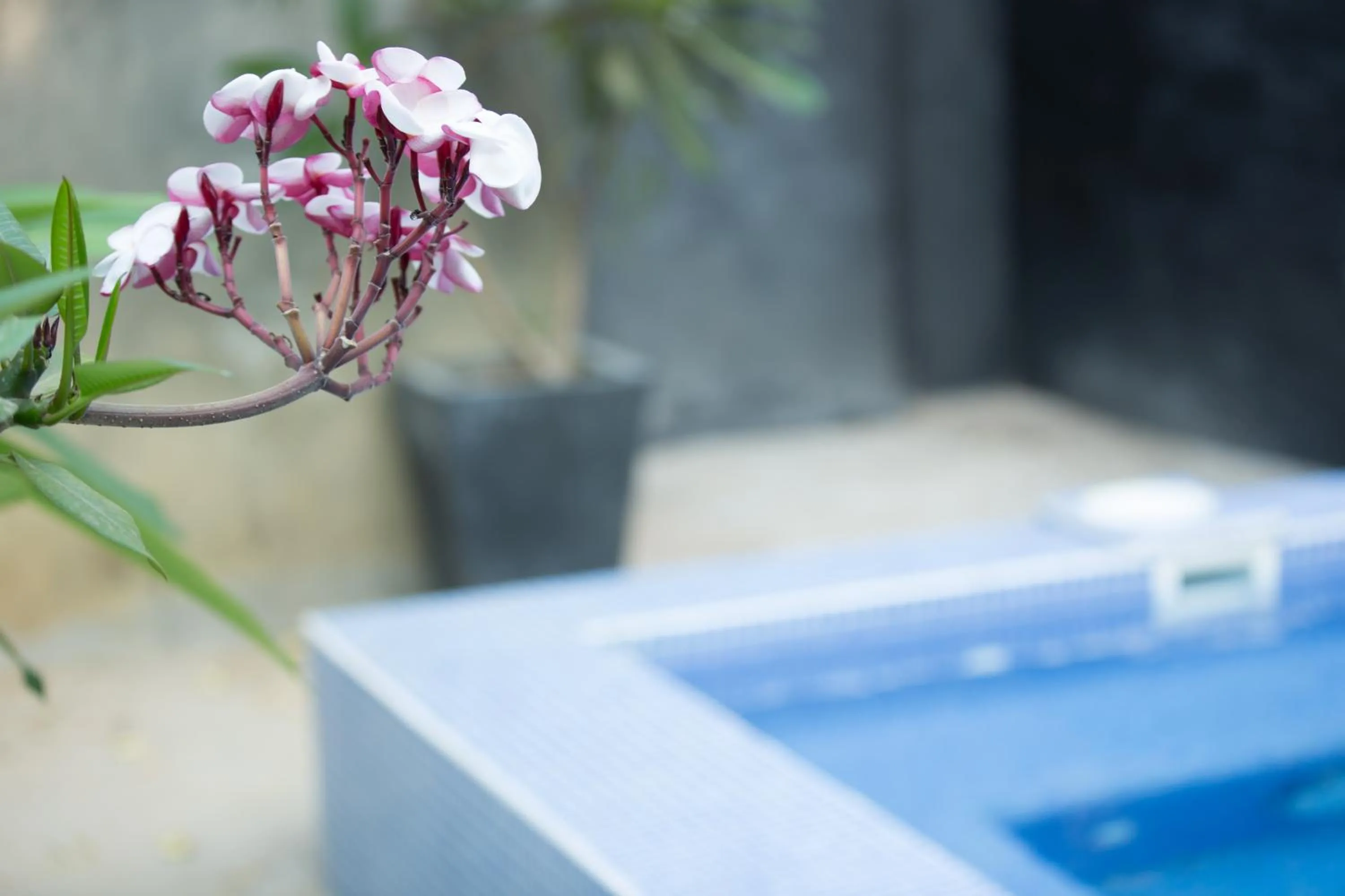 Garden in Sonalong Boutique Village & Resort