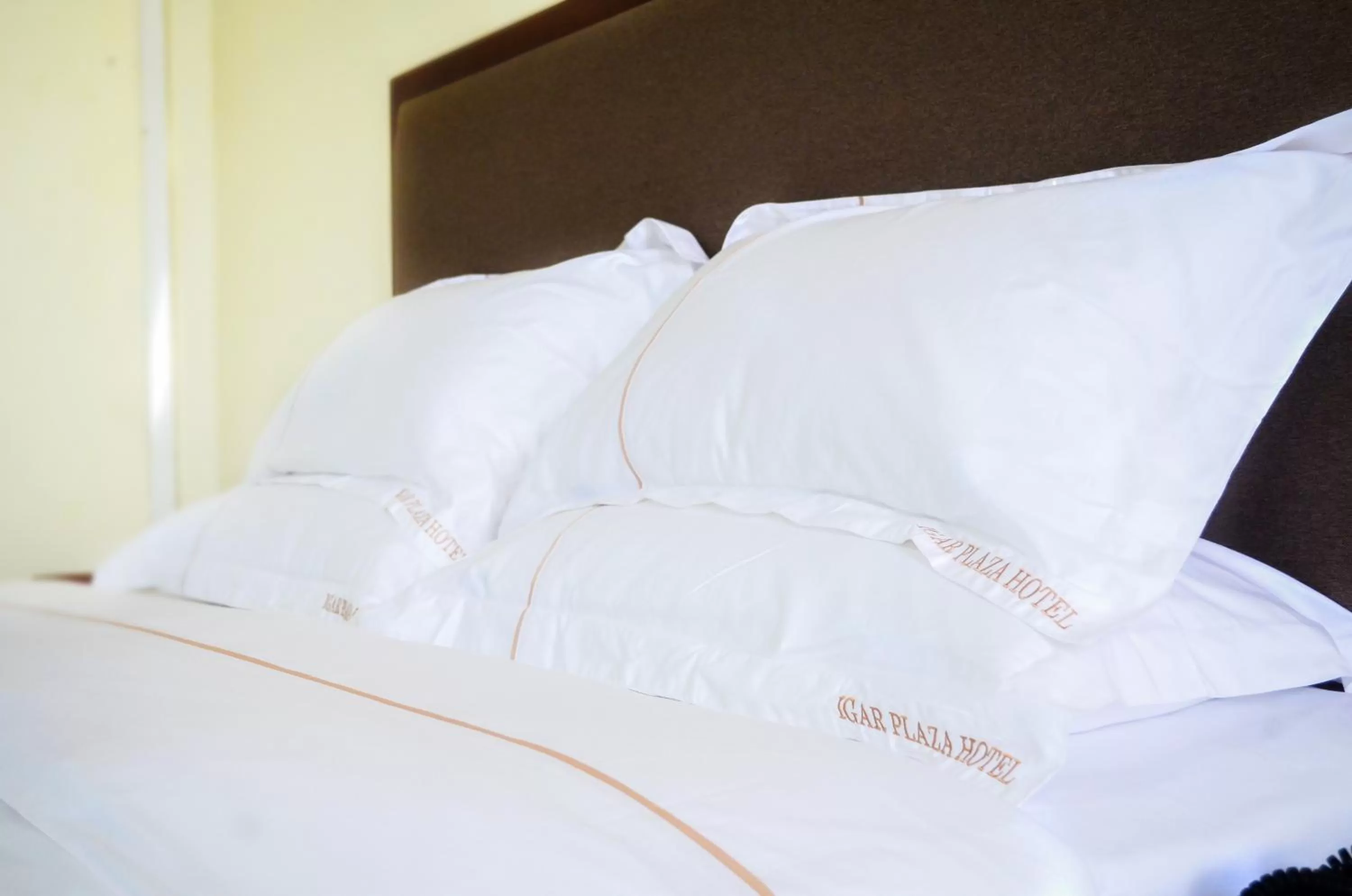 Decorative detail, Bed in Igar Plaza Hotel