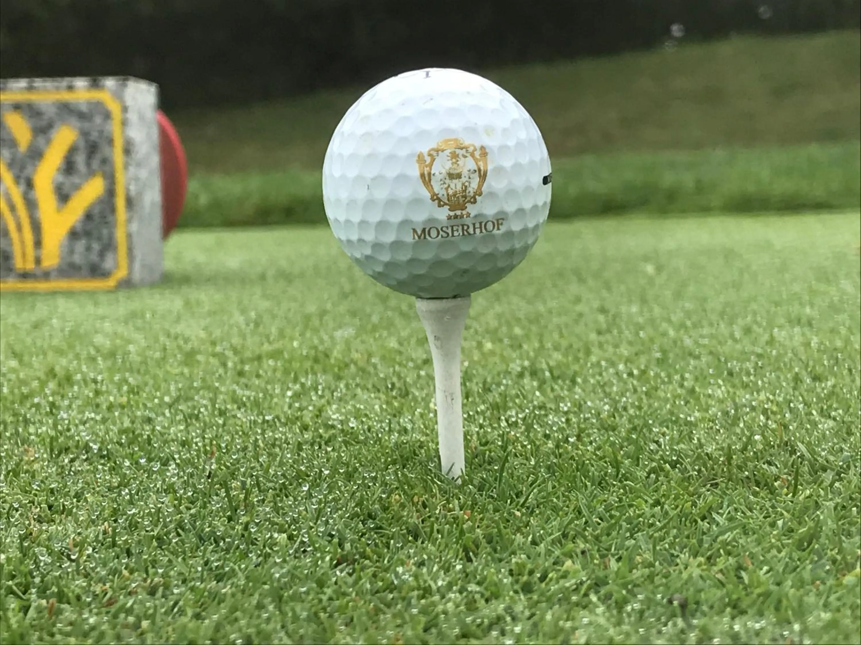 Golfcourse in Hotel Landhaus Moserhof