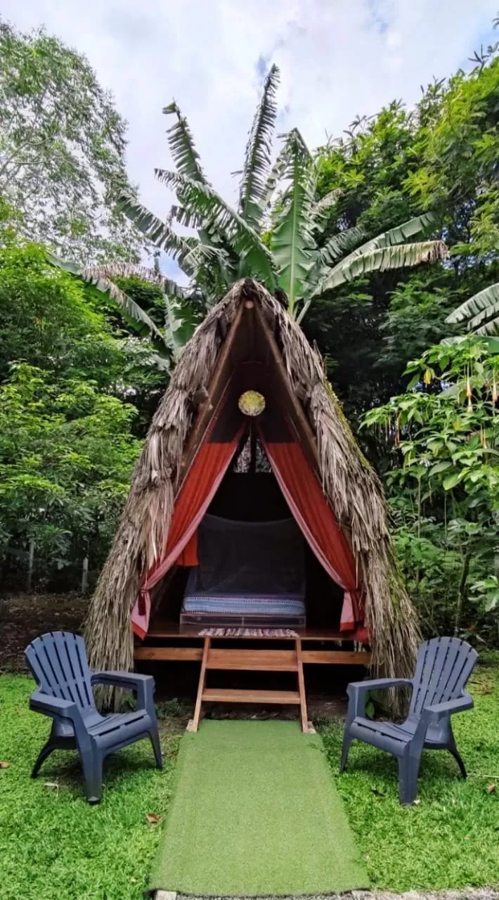 Property building in Centro Ananda