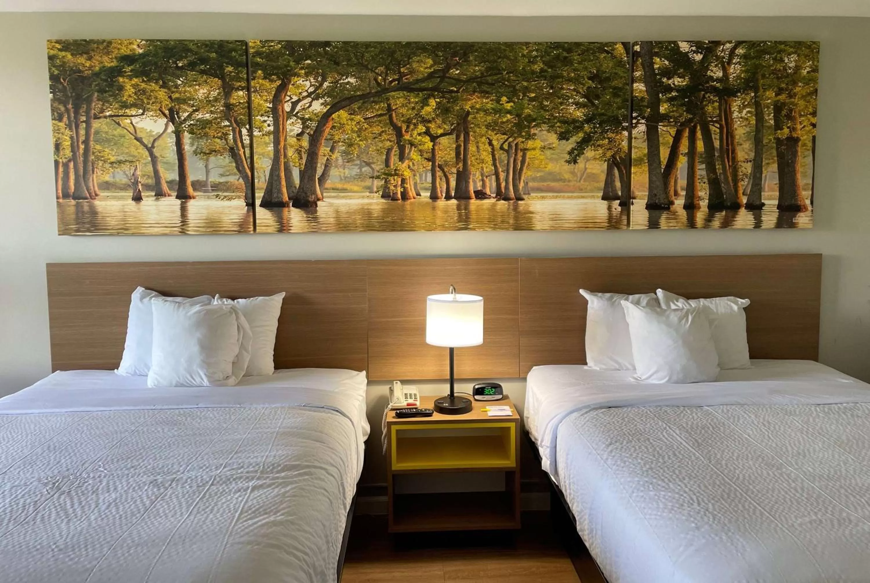 Photo of the whole room, Bed in Days Inn by Wyndham Valdosta/Near Valdosta Mall