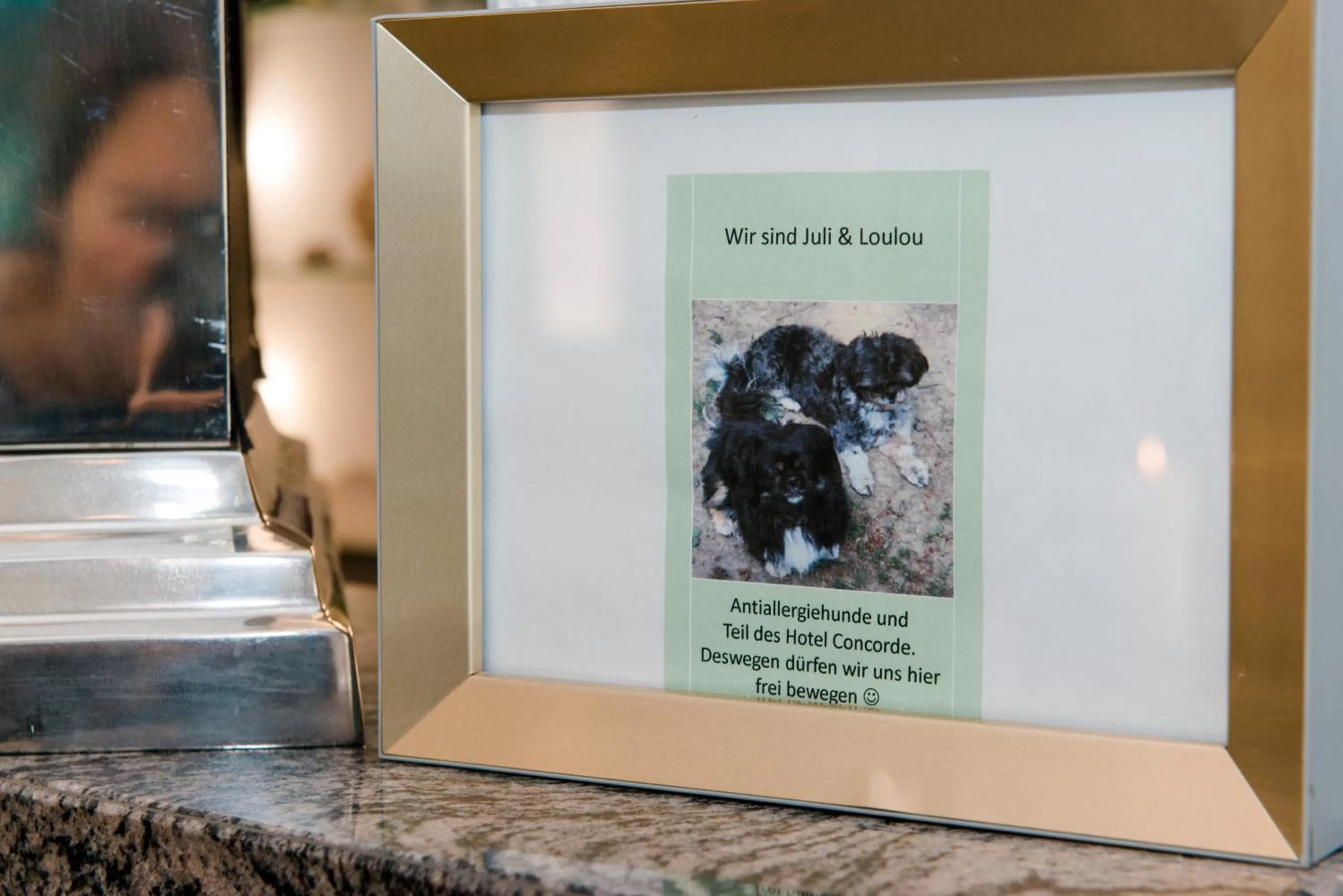 Lobby or reception in Concorde Business Boutique Hotel