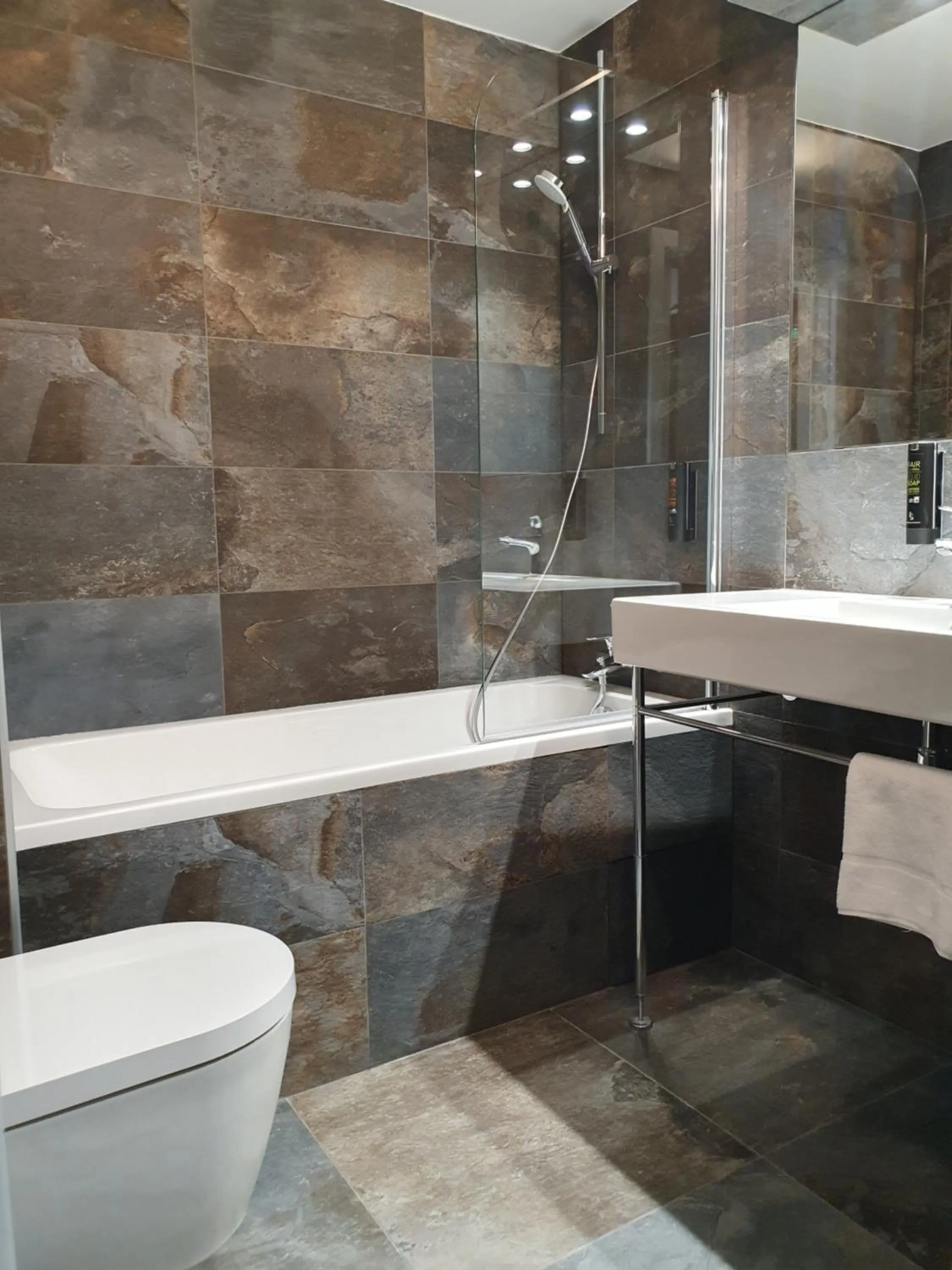 Toilet in Chalet Hôtel du Bois