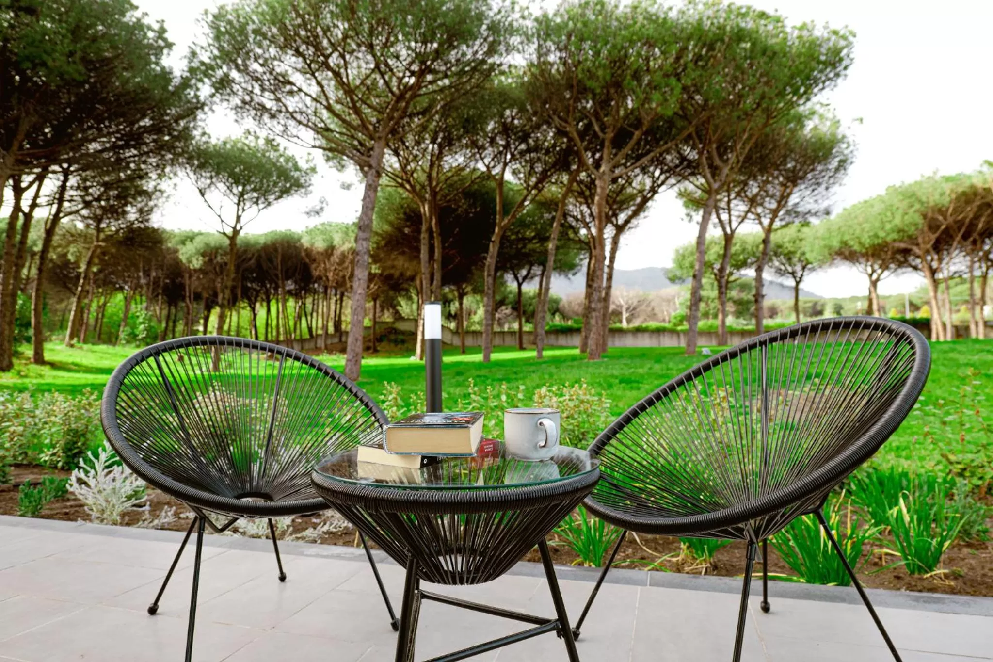 Day in Bosco Mattavona