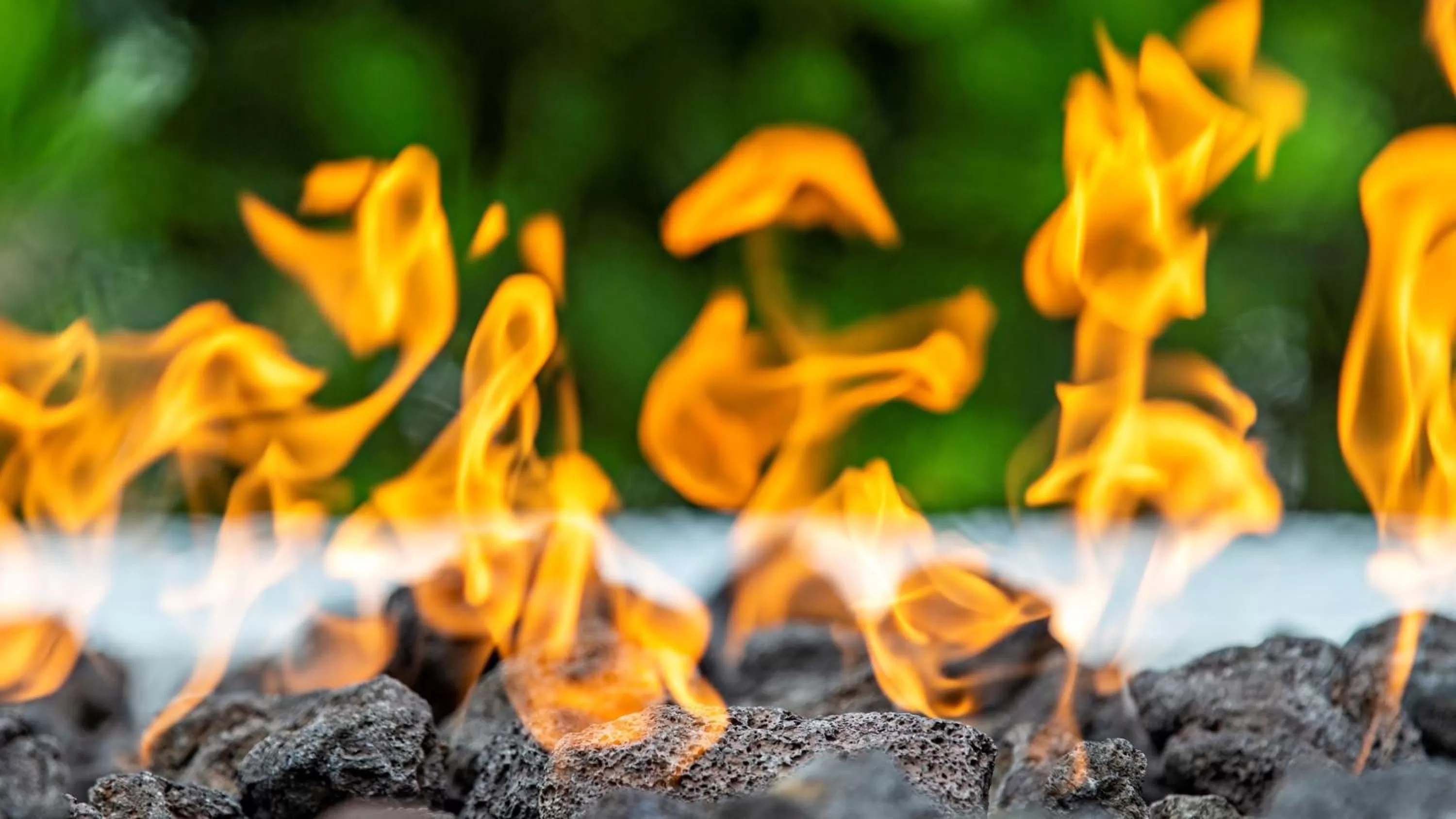 Lobby or reception in Staybridge Suites - Naples - Marco Island by IHG