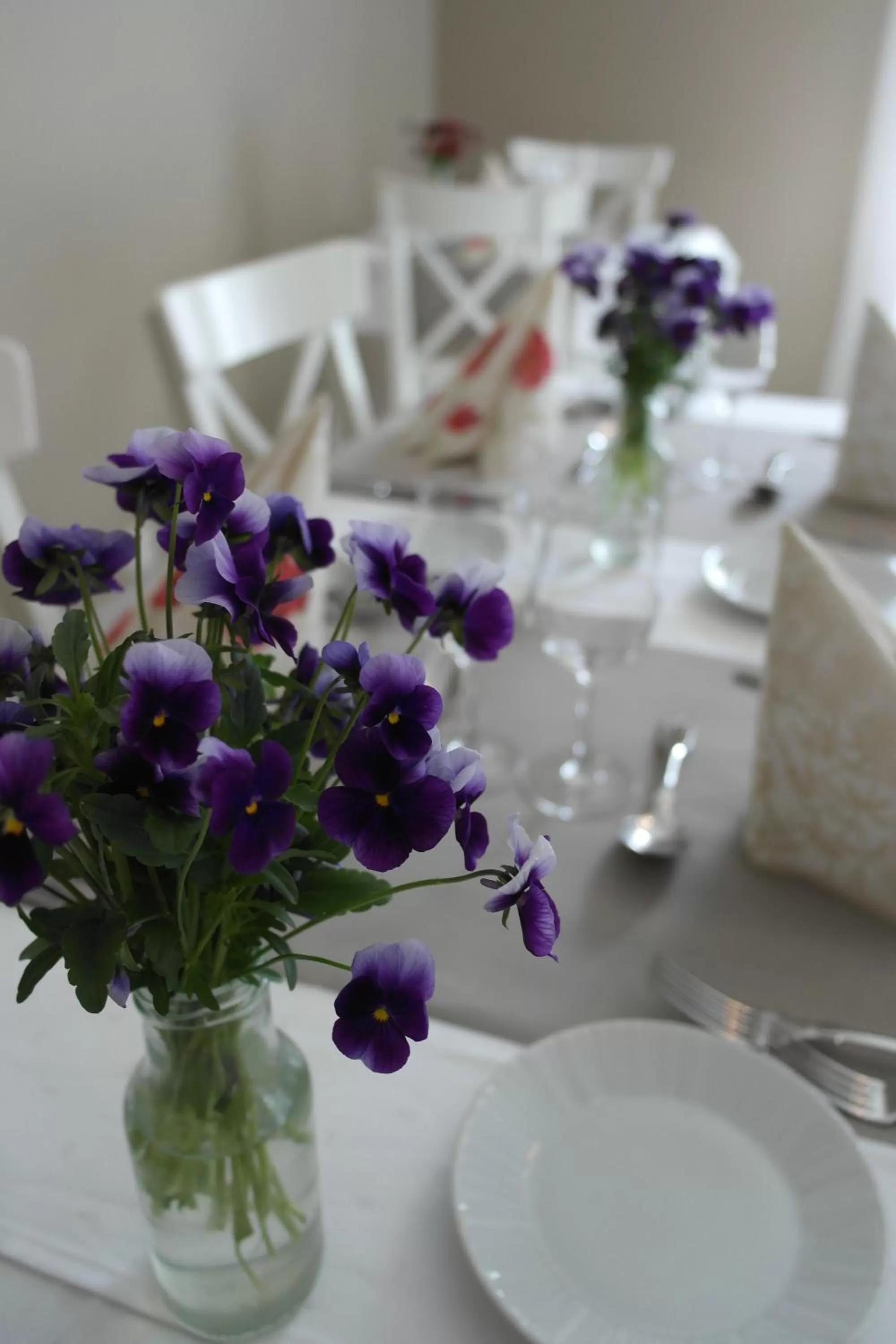 Restaurant/places to eat in Varjola Holiday Center