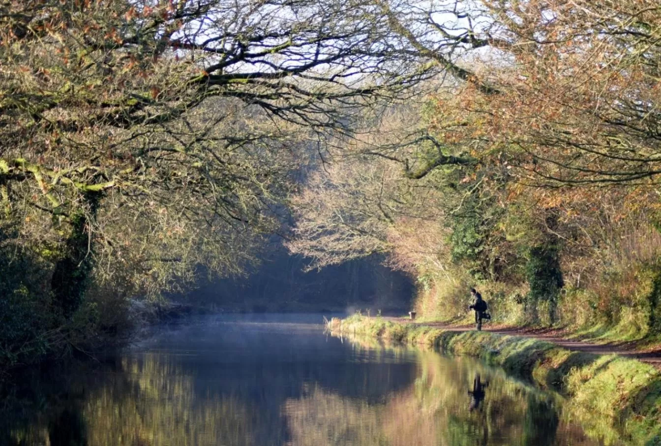 Natural landscape in Brambles Bed and Breakfast