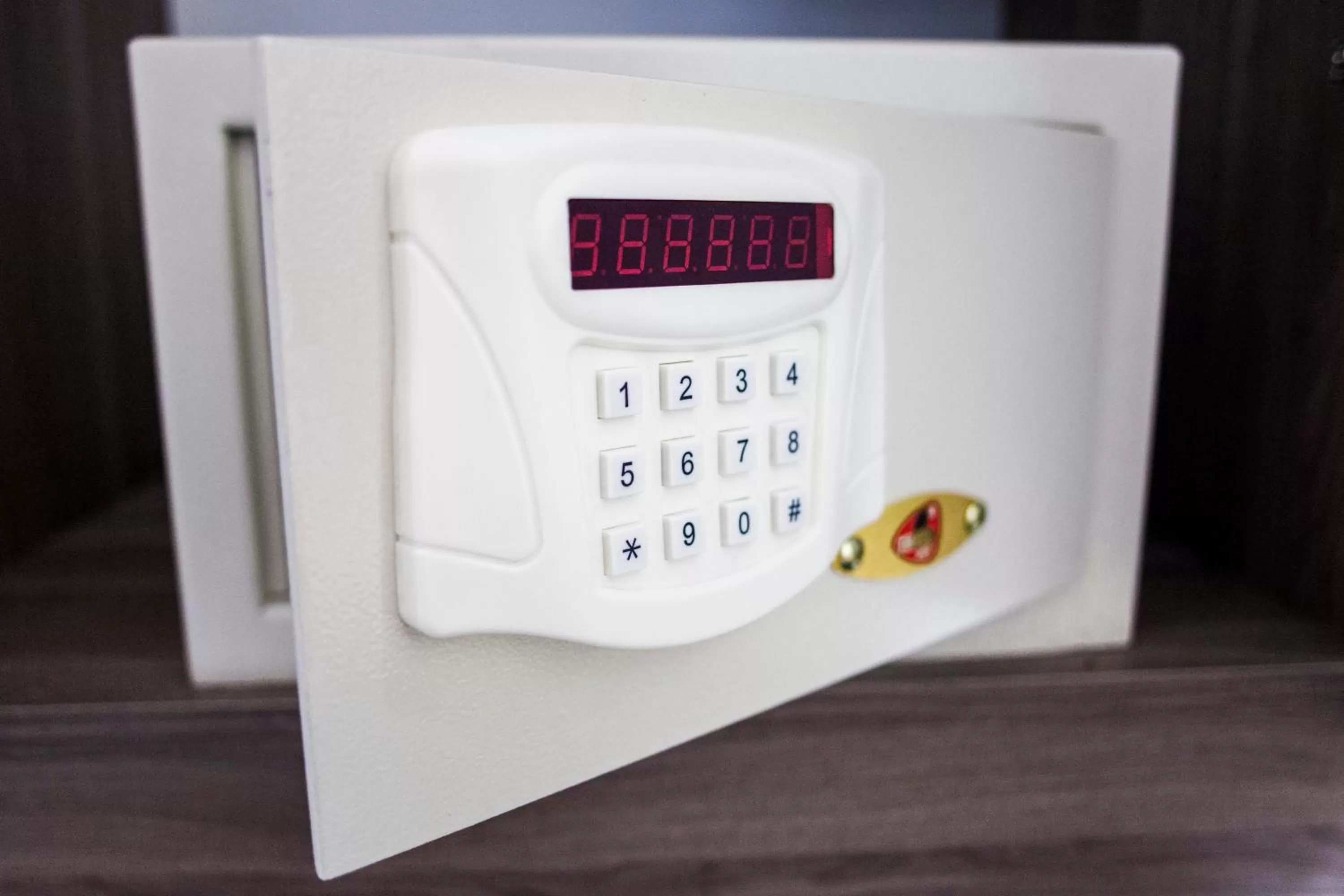 safe in Green Garden Hotel