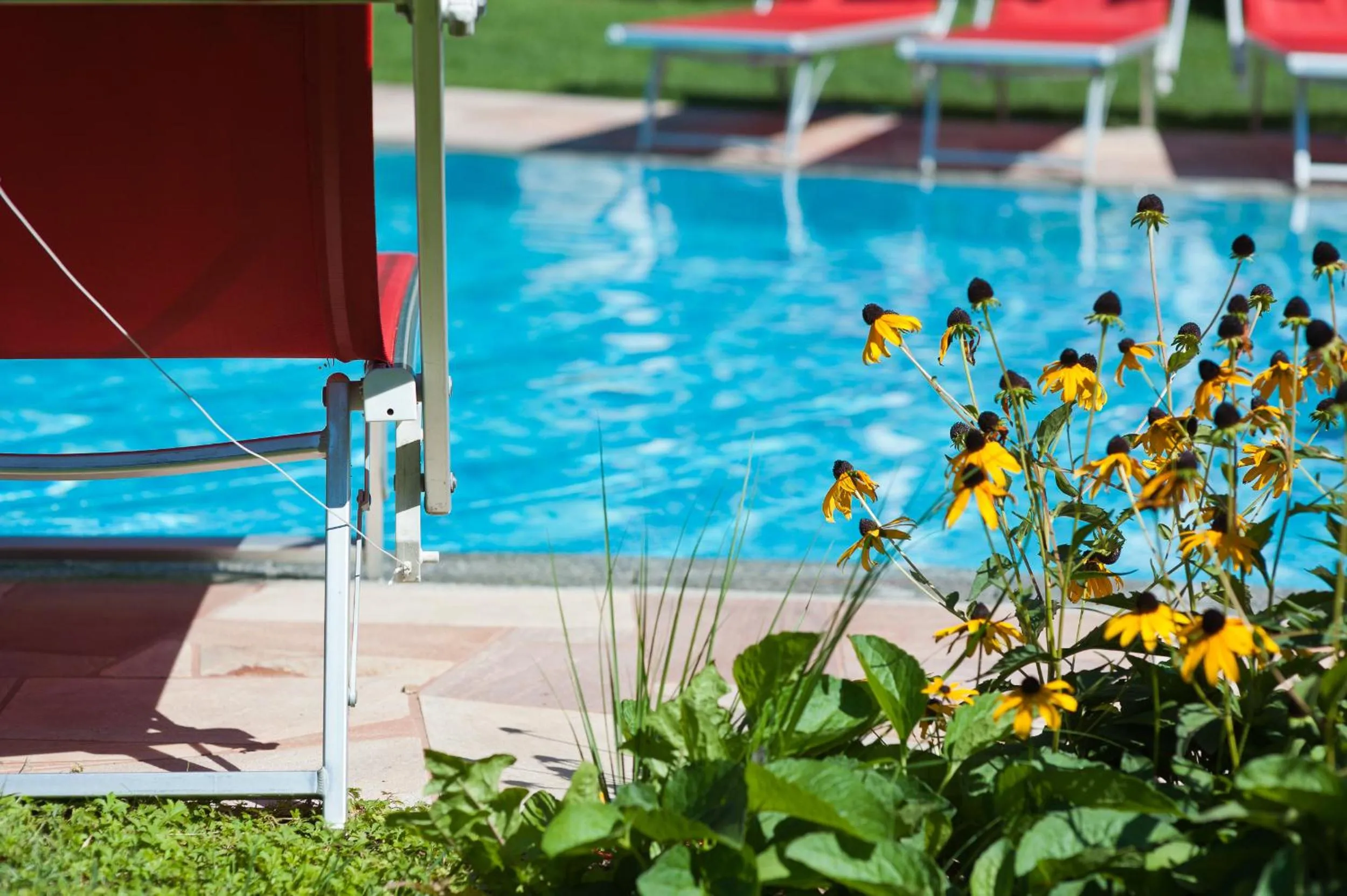 Swimming pool in Business Resort Parkhotel Werth