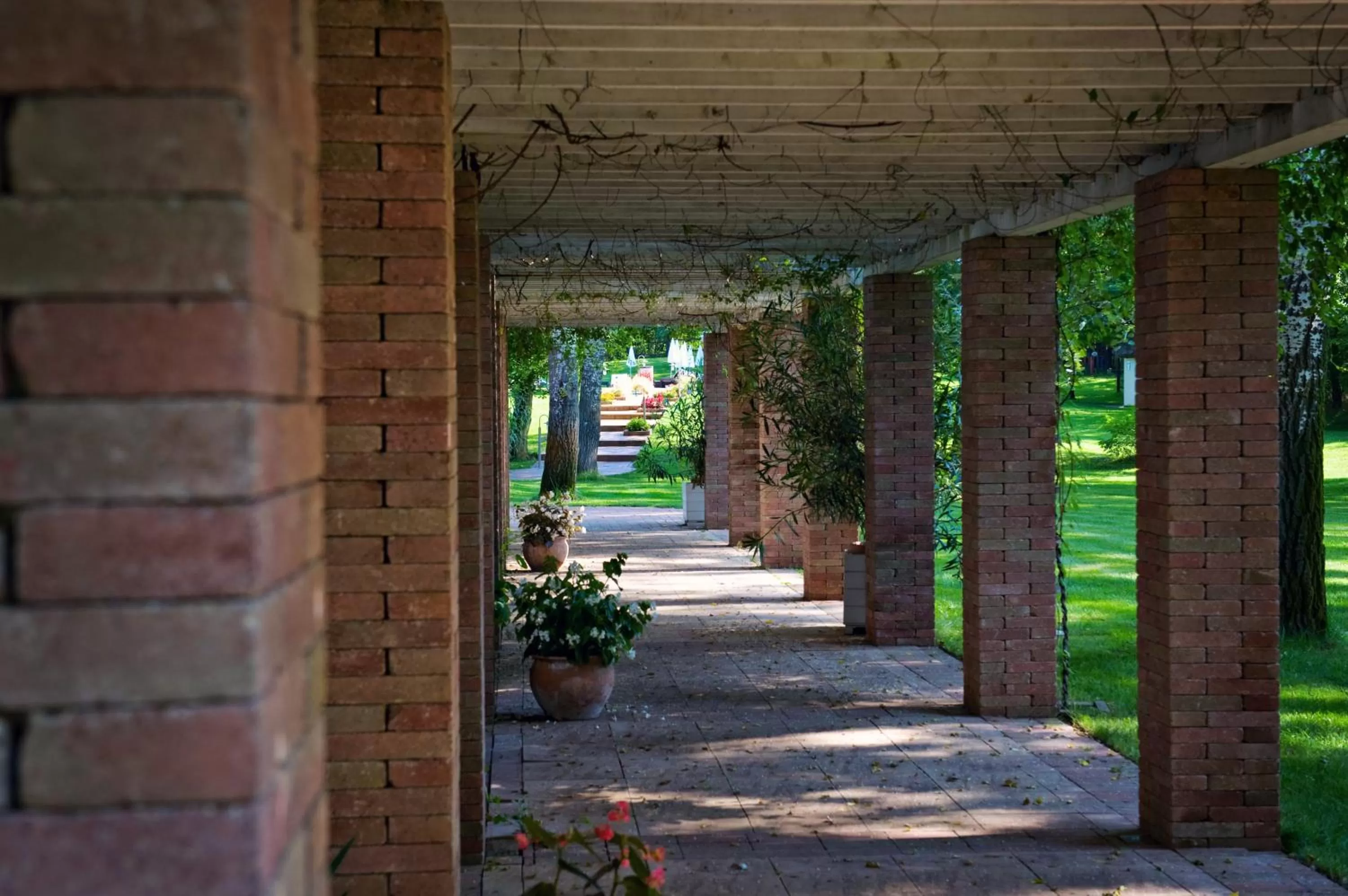 Day in Varga Tanya Hotel