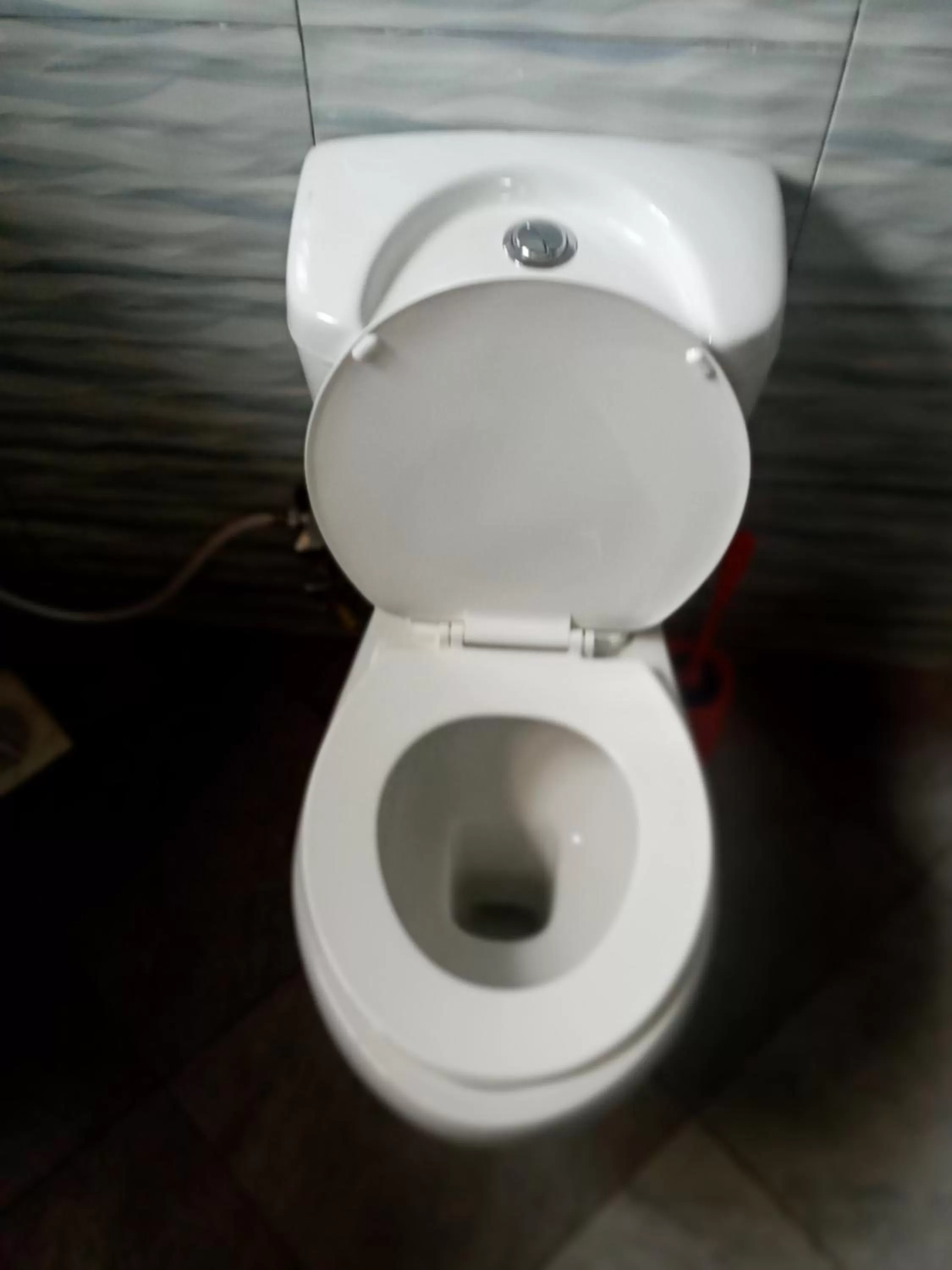 Toilet in Safari Park House