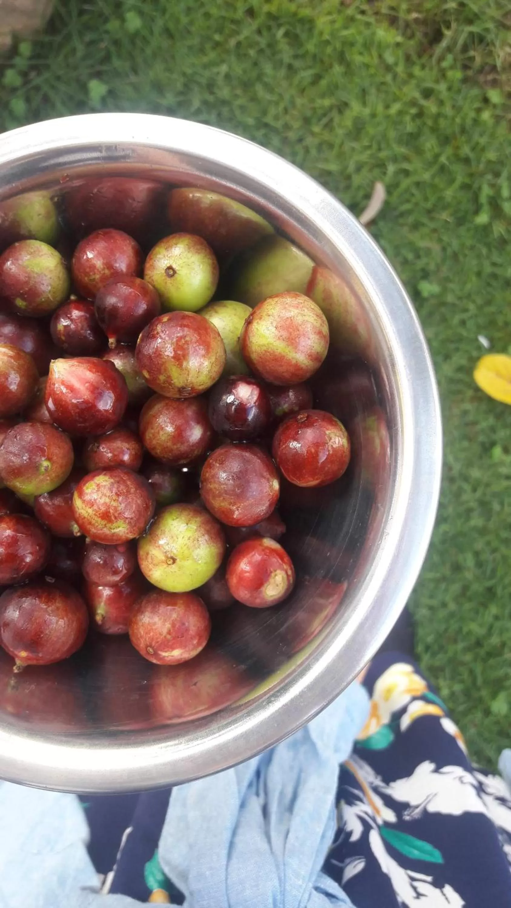 Food close-up in A Casa Morro do Moreno