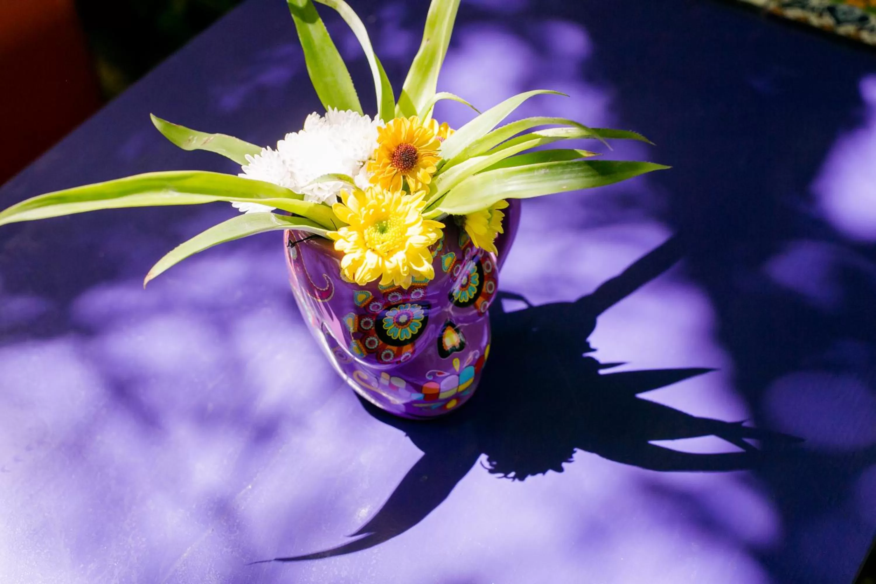 Food and drinks, Other Animals in Vainilla Bed and Breakfast Mexico