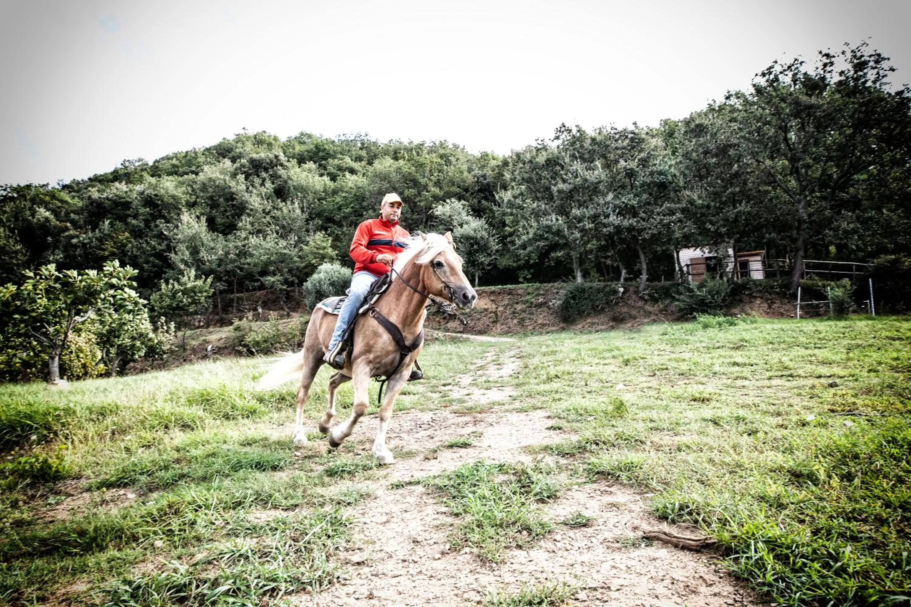 Horse-riding in Borgo Rosso di Sera - Resort Country Chic