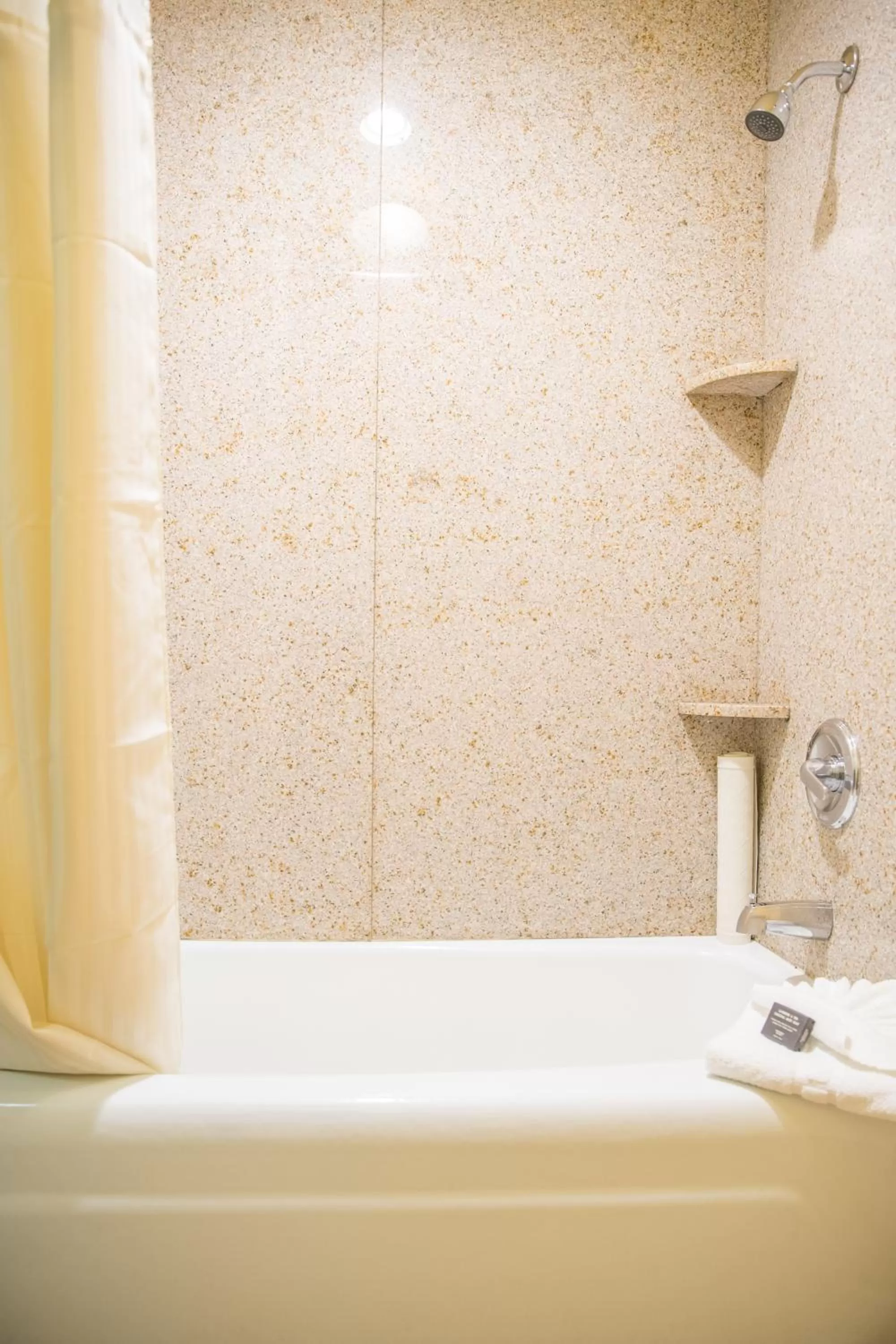 Bathroom in Oakland Airport Executive Hotel