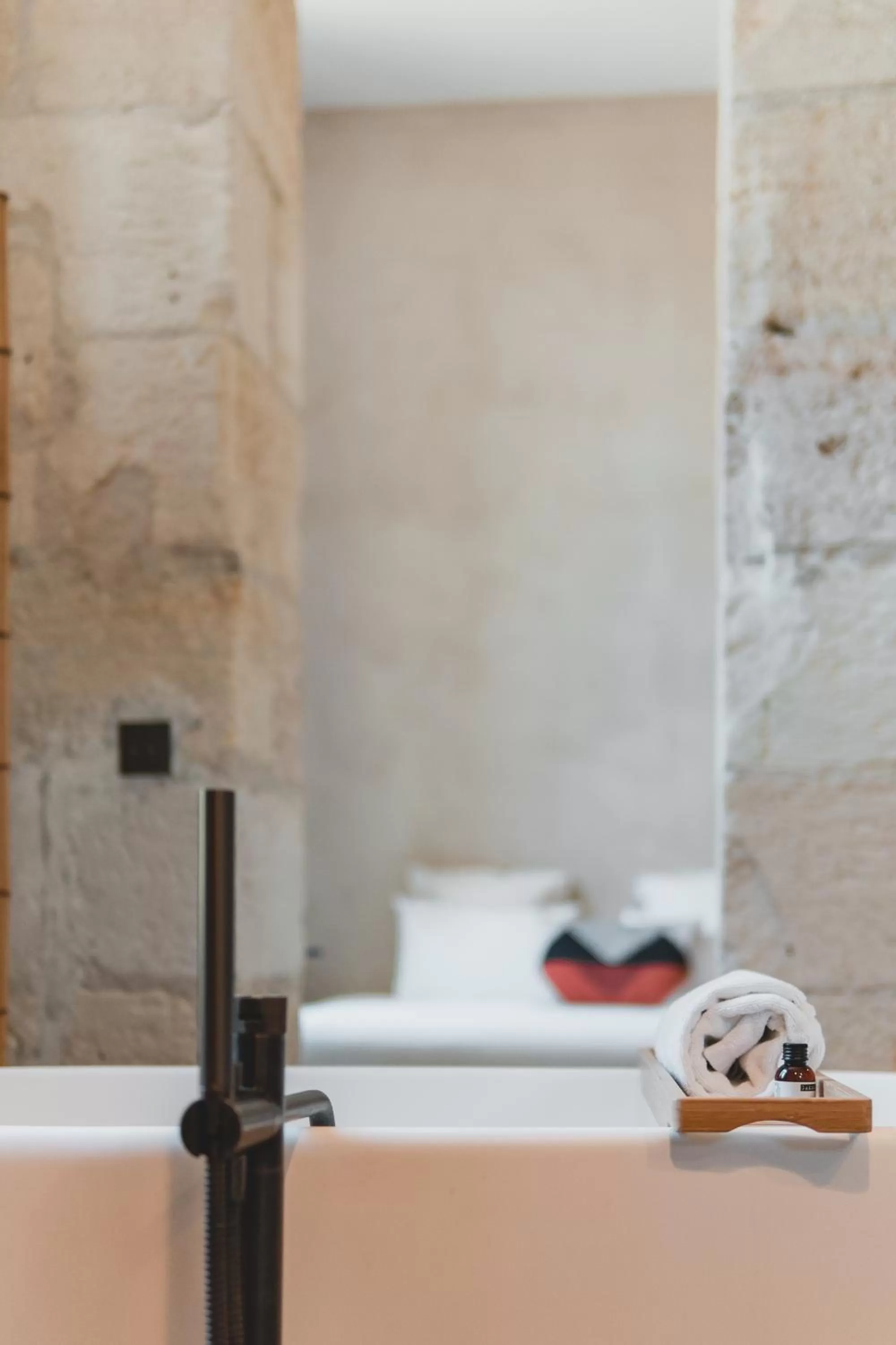 Deluxe Double Room in Hotel La Zoologie & Spa Bordeaux