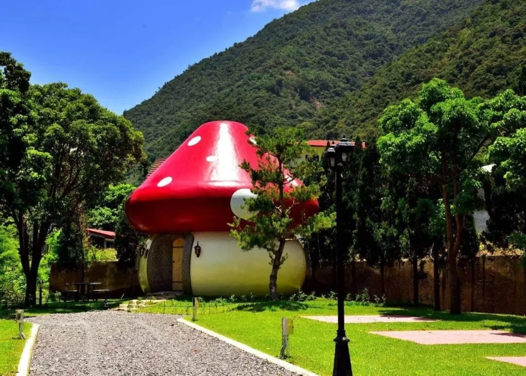 Mushroom Forest Guesthouse Camping Site