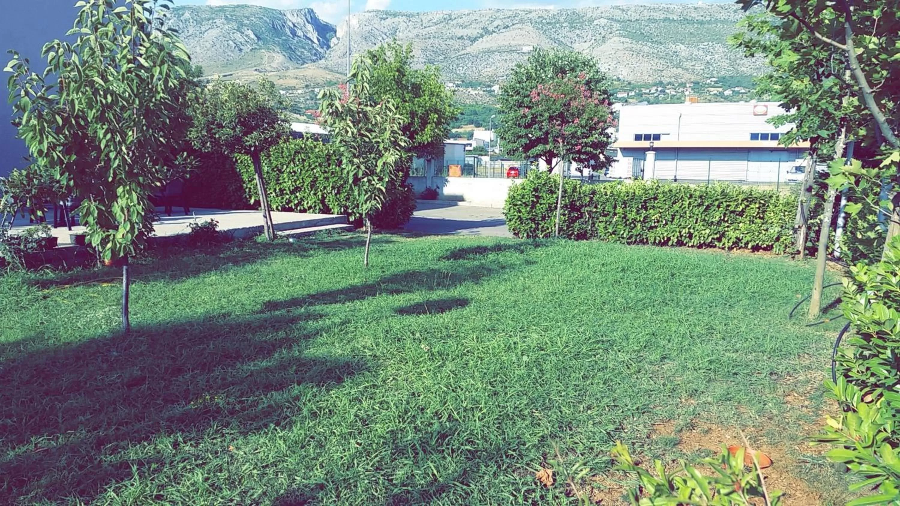 Garden view, Garden in Motel Aura