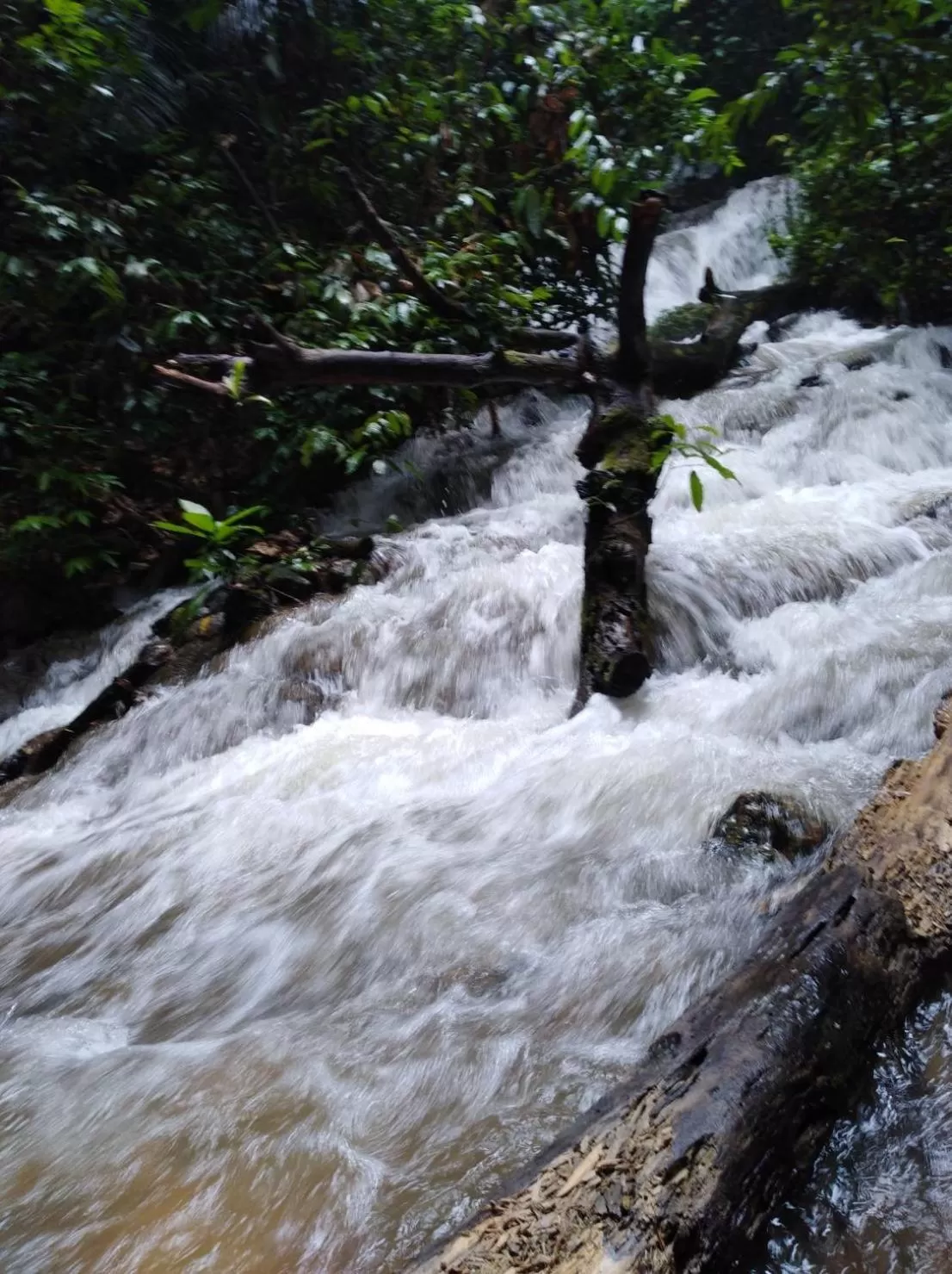 Natural landscape in Khao Sok Residence Resort