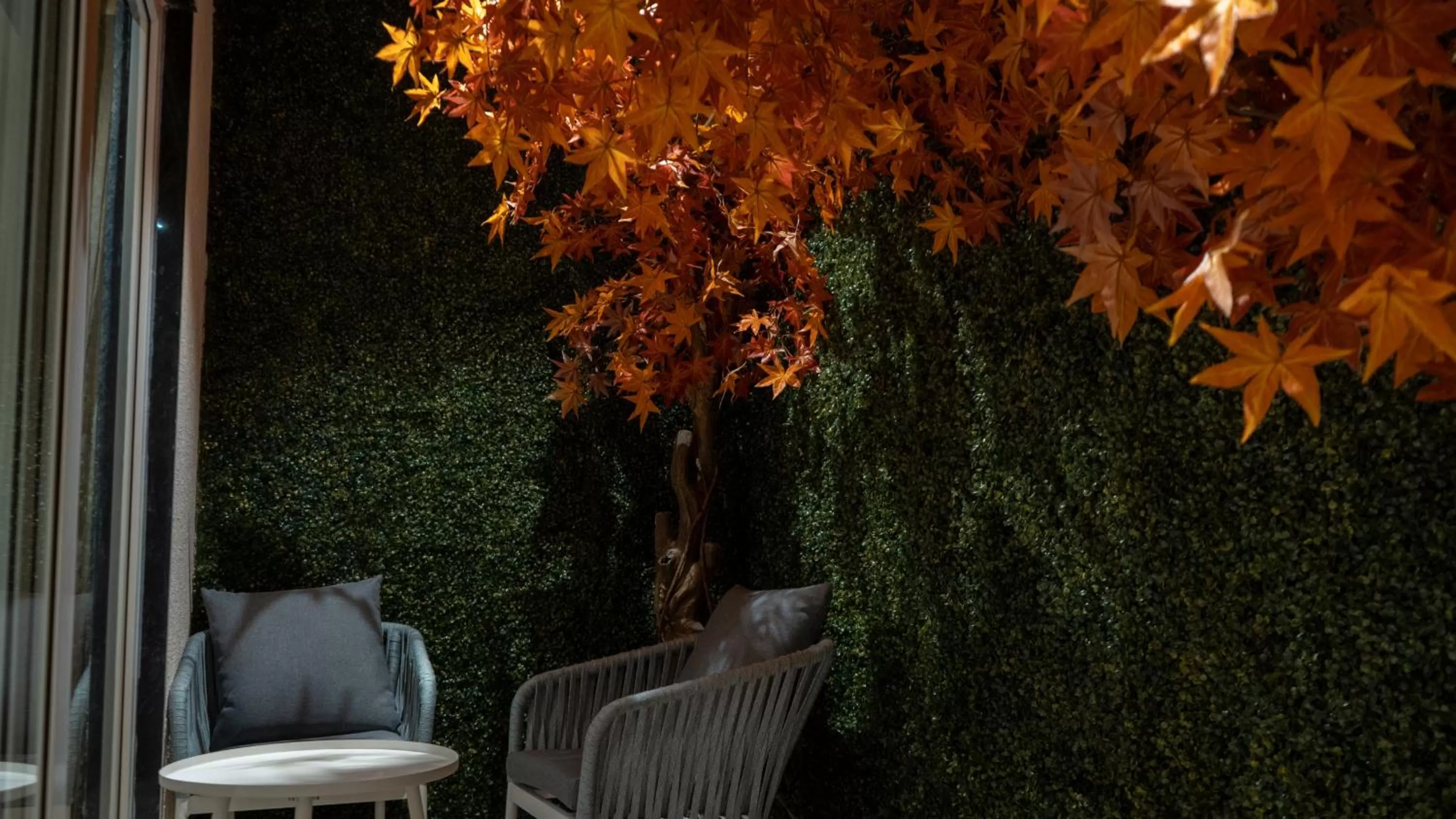 Garden view in Clarks Inn Suites Kangra