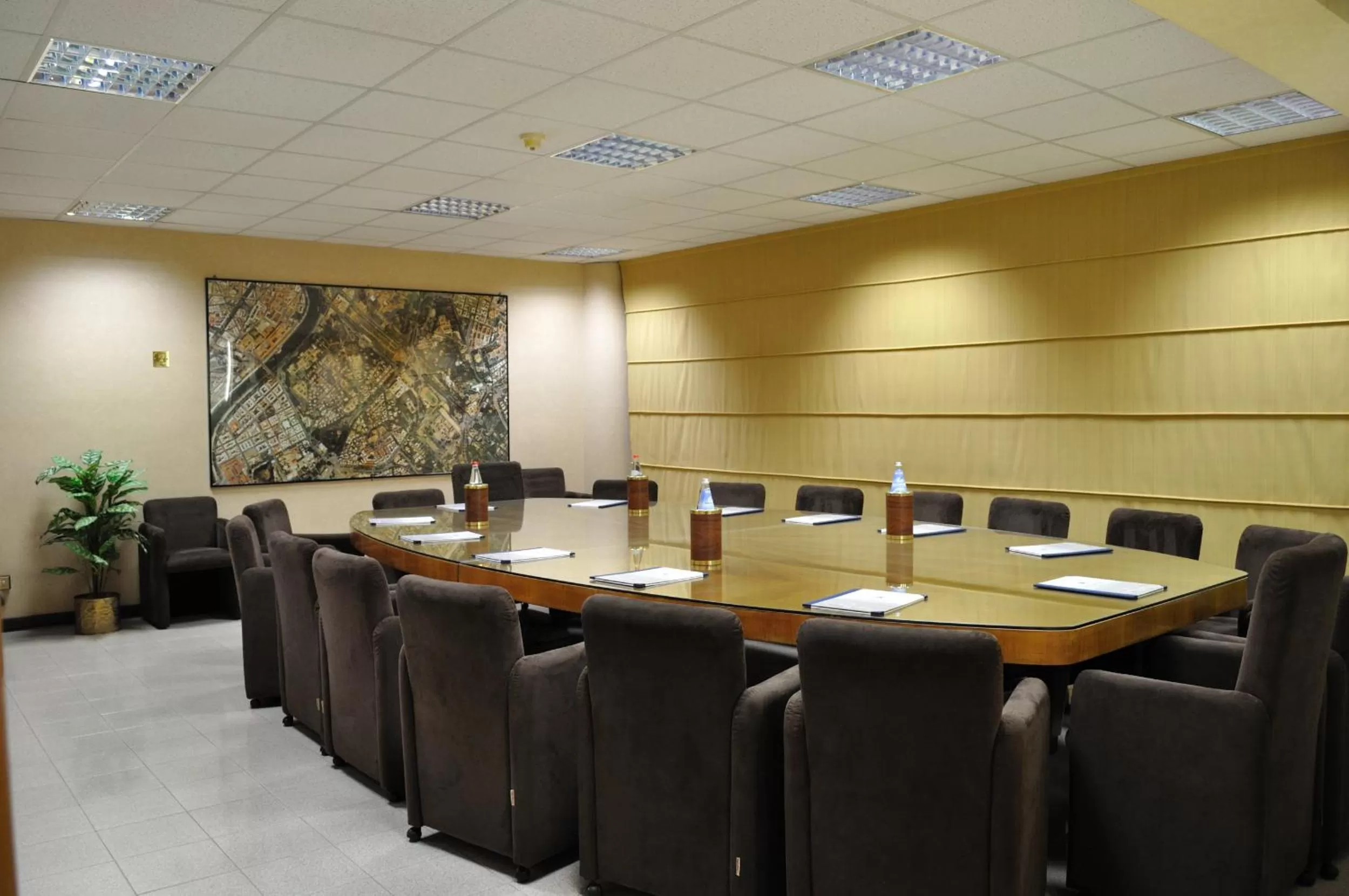 Business facilities in Hotel Pineta Palace