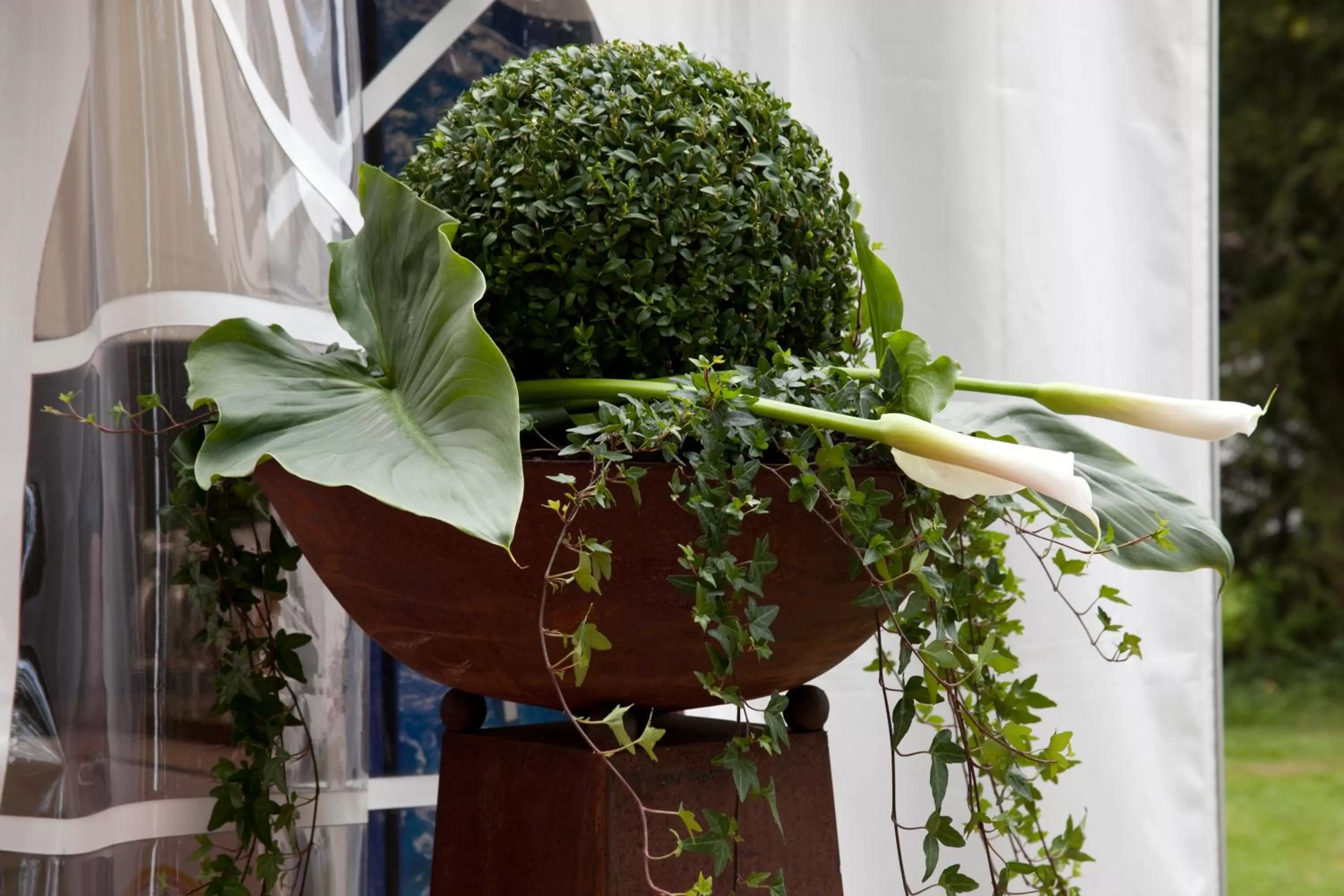 Area and facilities in Hotel am Schloss