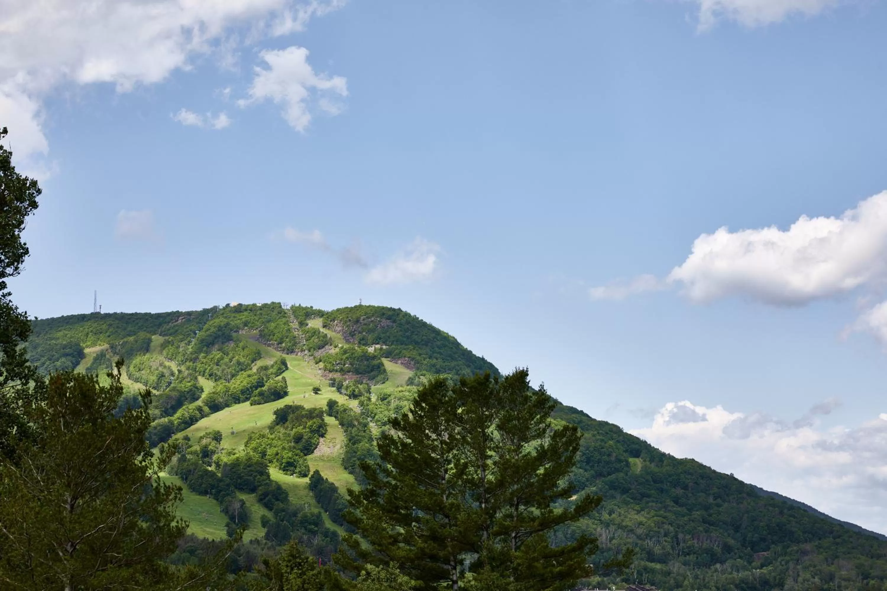 Area and facilities in Hunter Lodge, a Bluebird by Lark