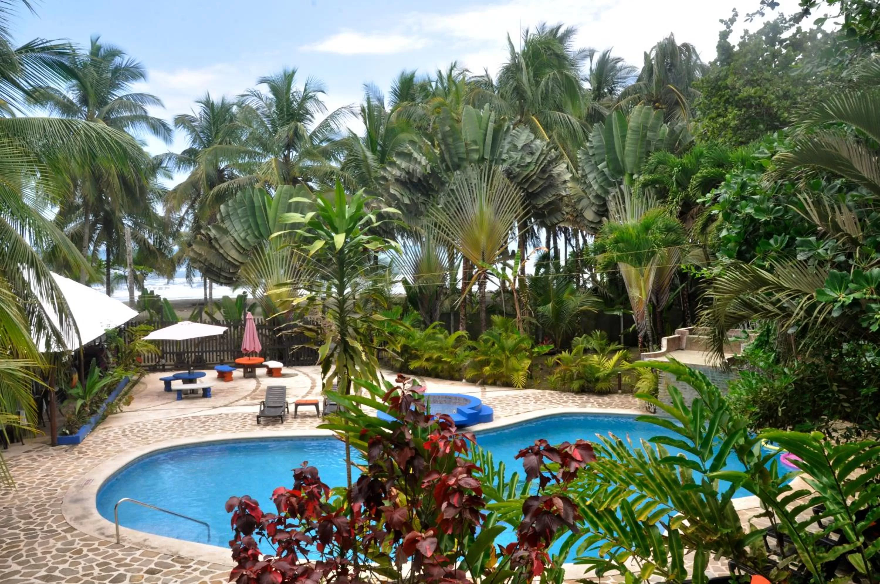 Sea view, Pool View in Hotel Playa Westfalia
