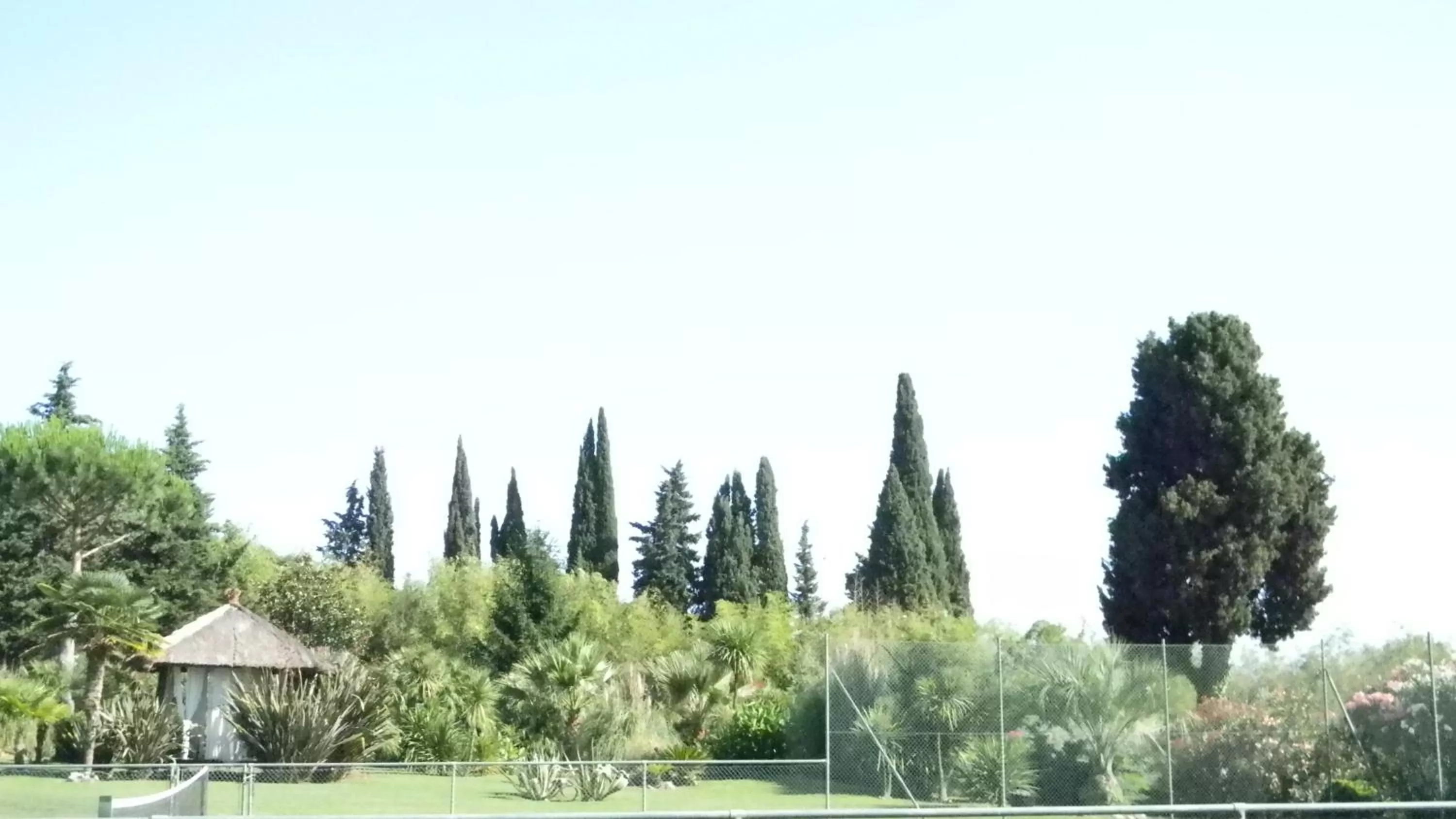 Garden in Casa Matilde