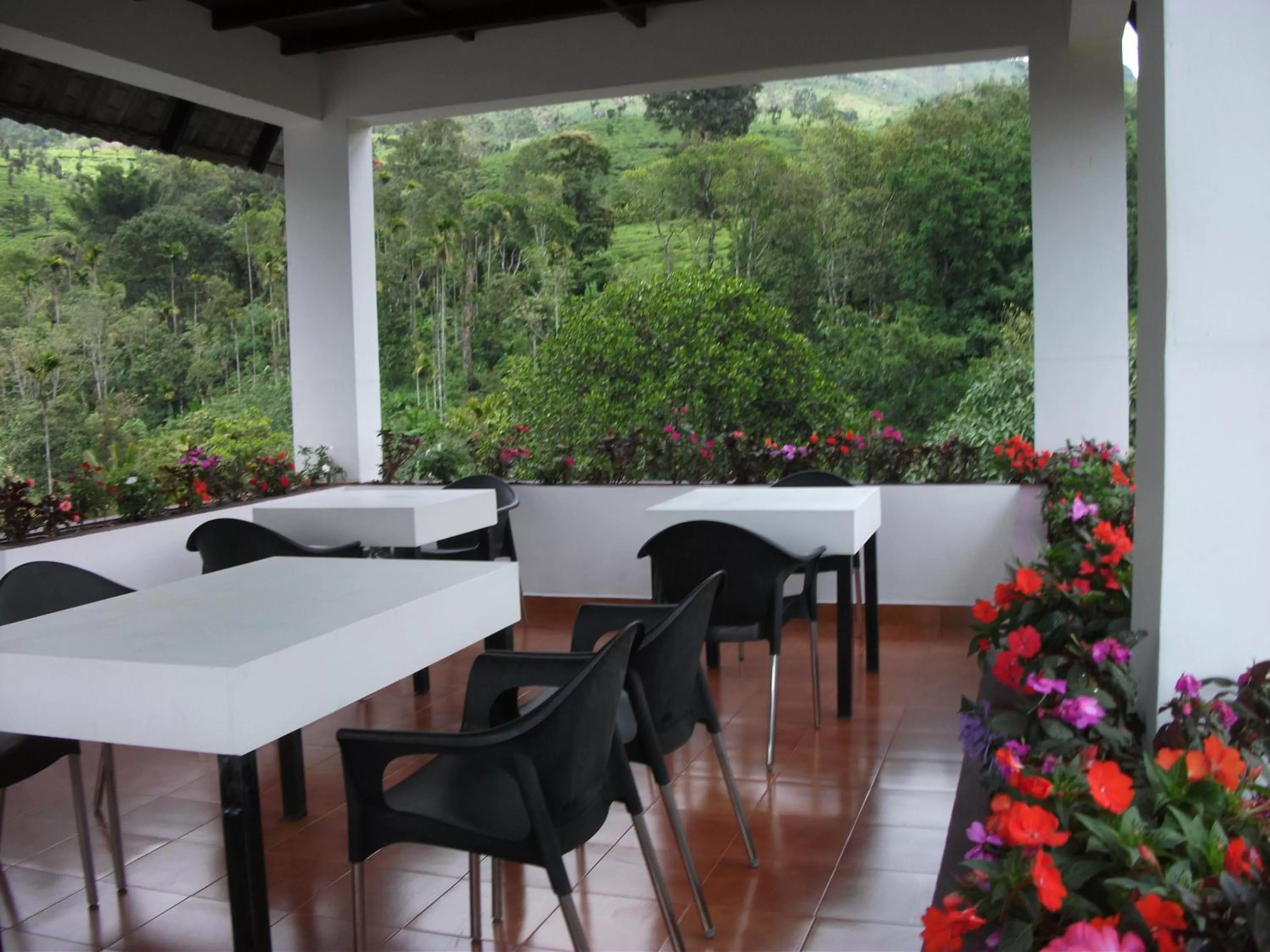 Day in Gruenberg Tea Plantation Haus