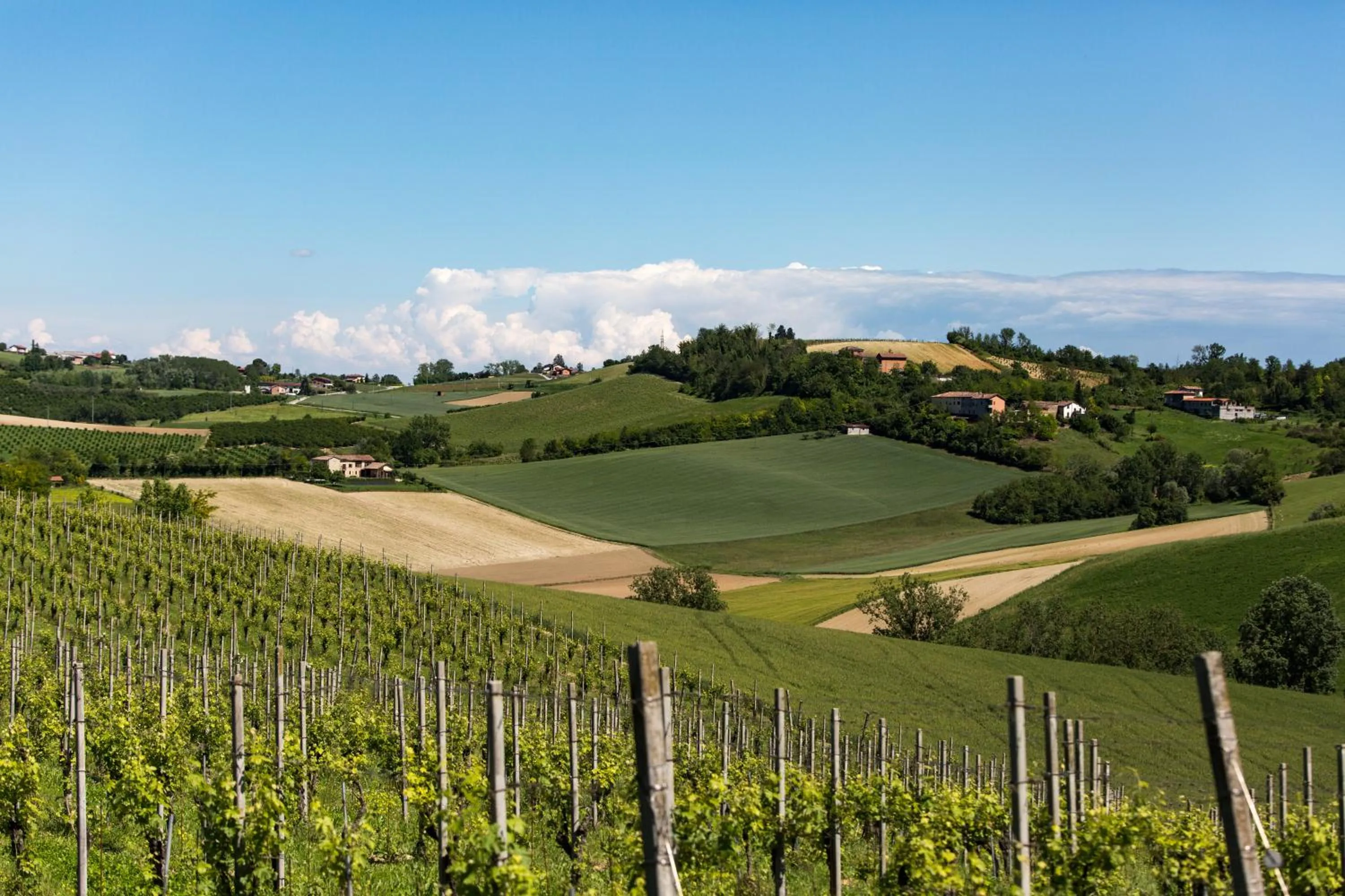 Neighbourhood in Spinerola Hotel Restaurant e Spa Arborea