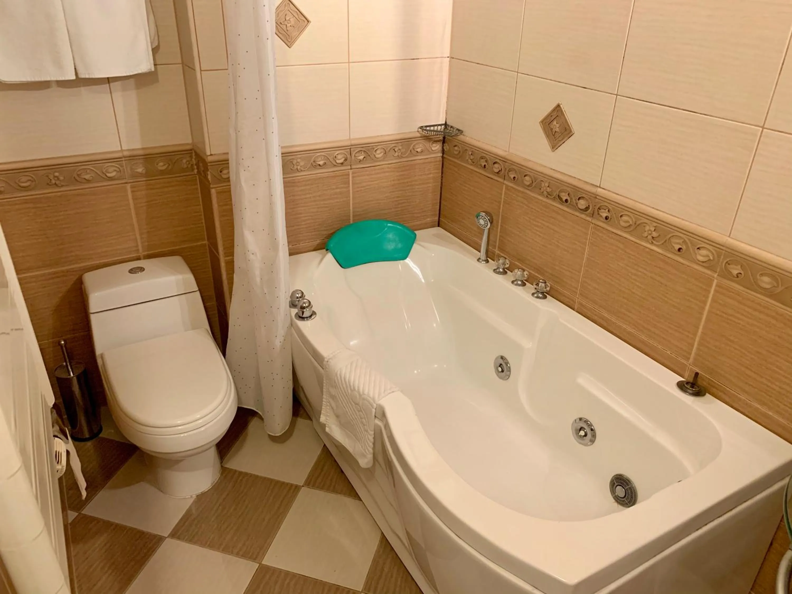 Shower in California Hotel