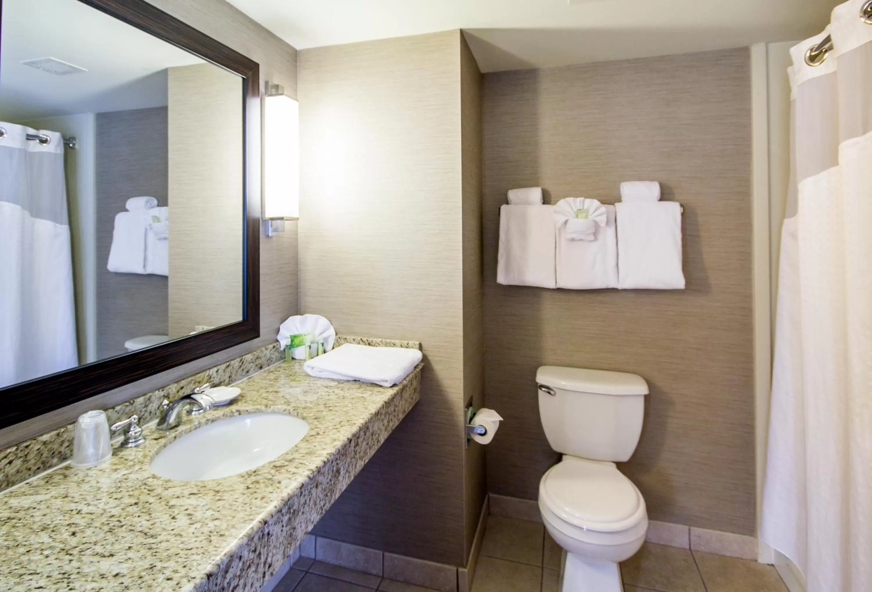 Bathroom in Holiday Inn Express Hotel & Suites Auburn by IHG
