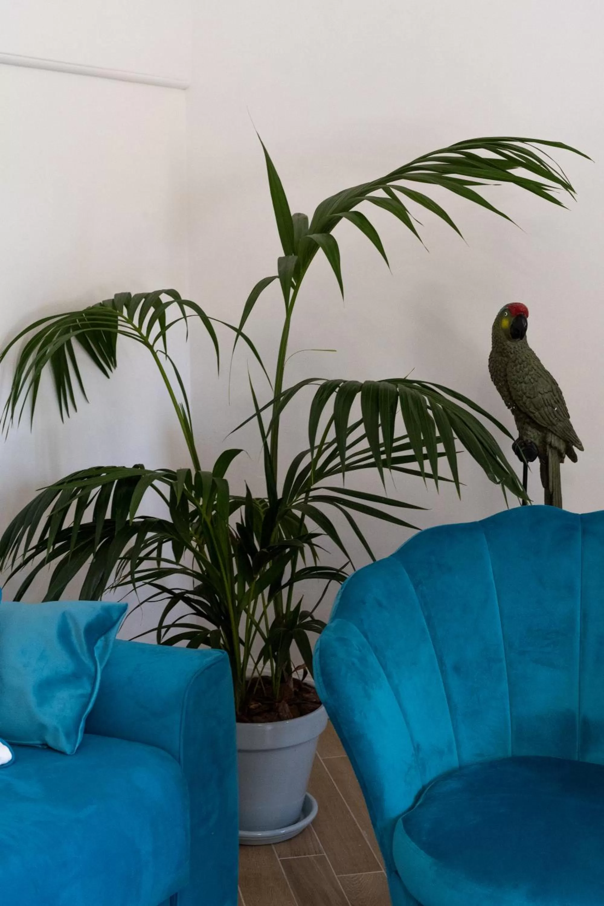 Lounge or bar in Villa Costanza sorrento B&b