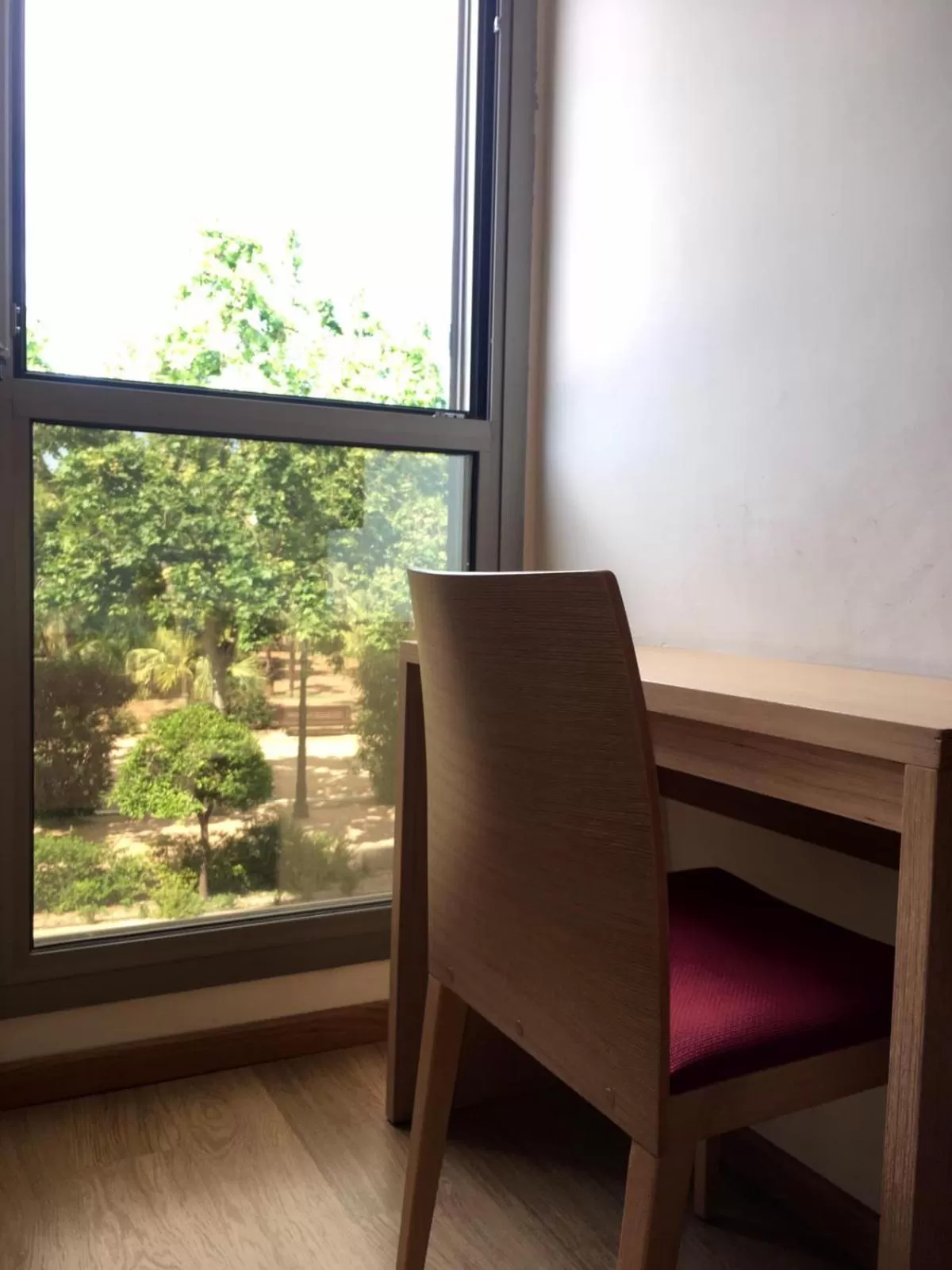 Garden in Doña Lola