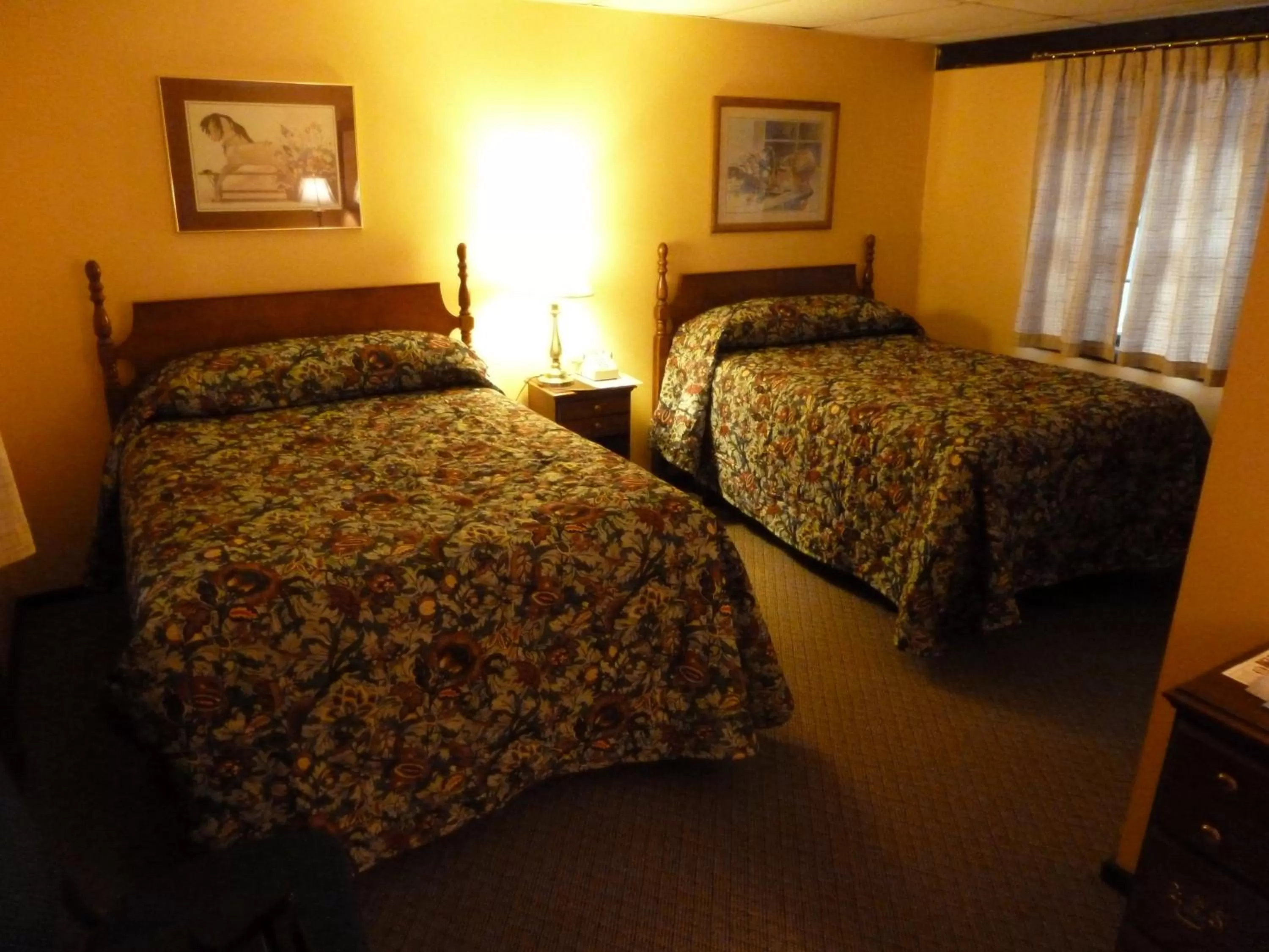 Day, Bed in Viking Motel