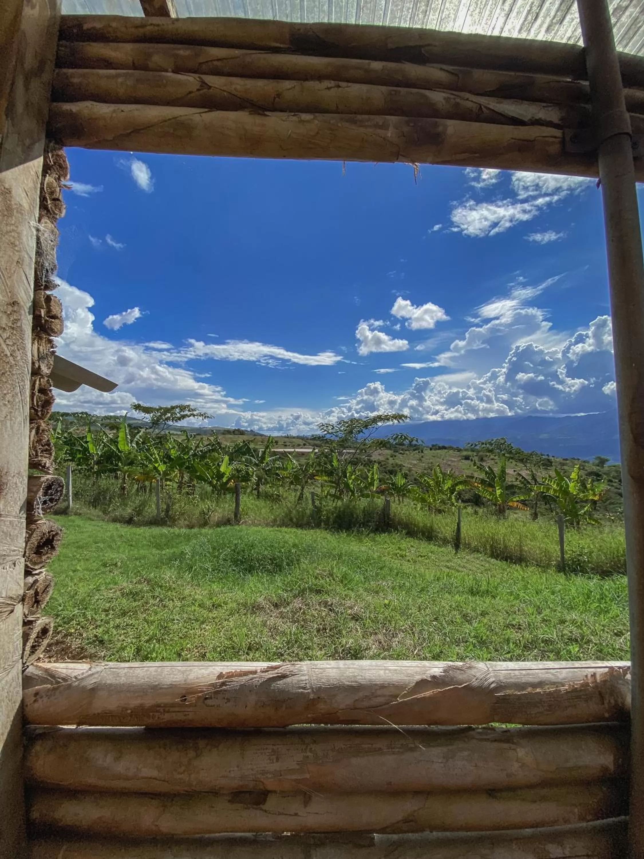 Garden view in Serrania del Viento