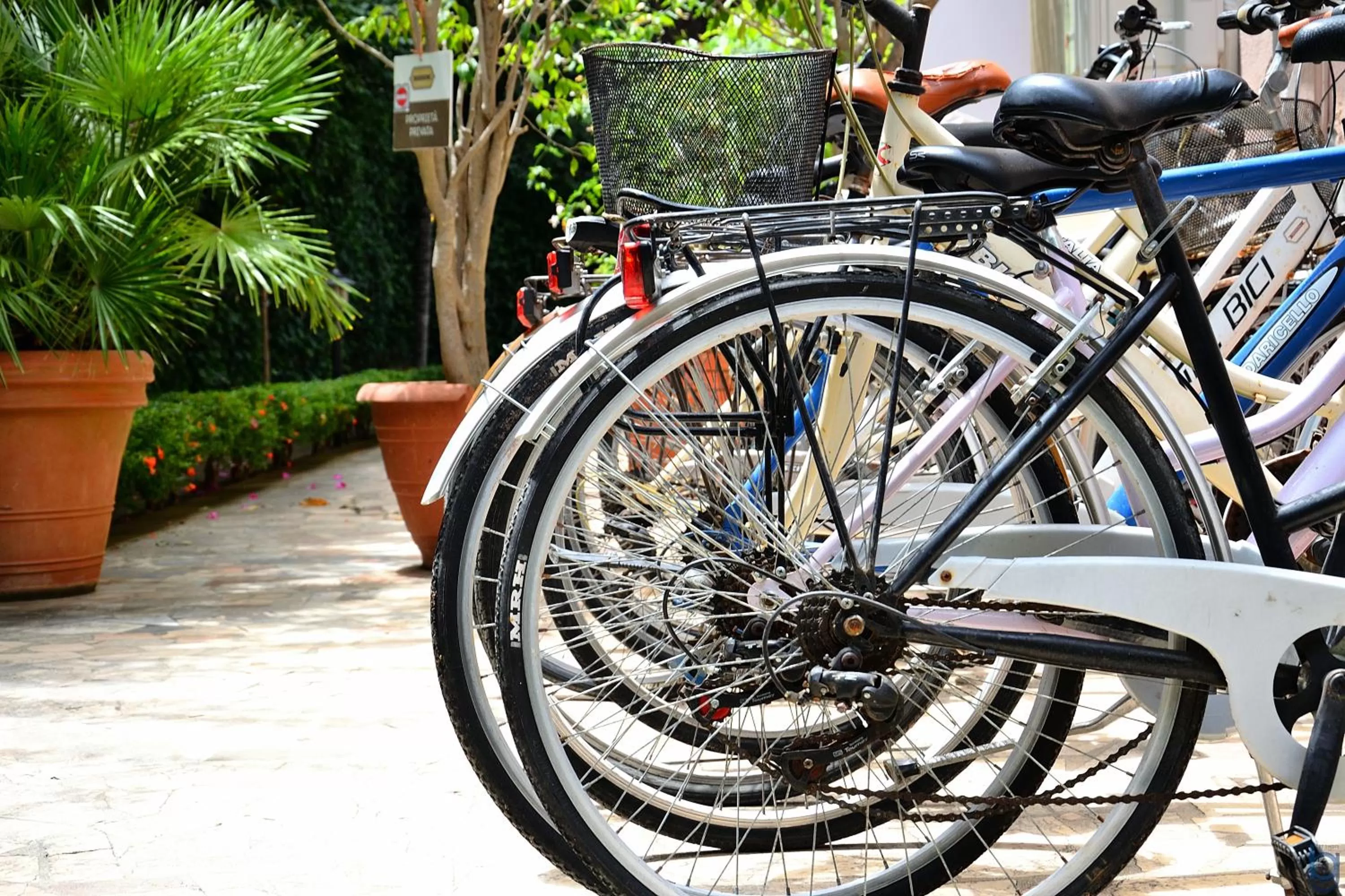 Area and facilities in B&b Mondello Resort