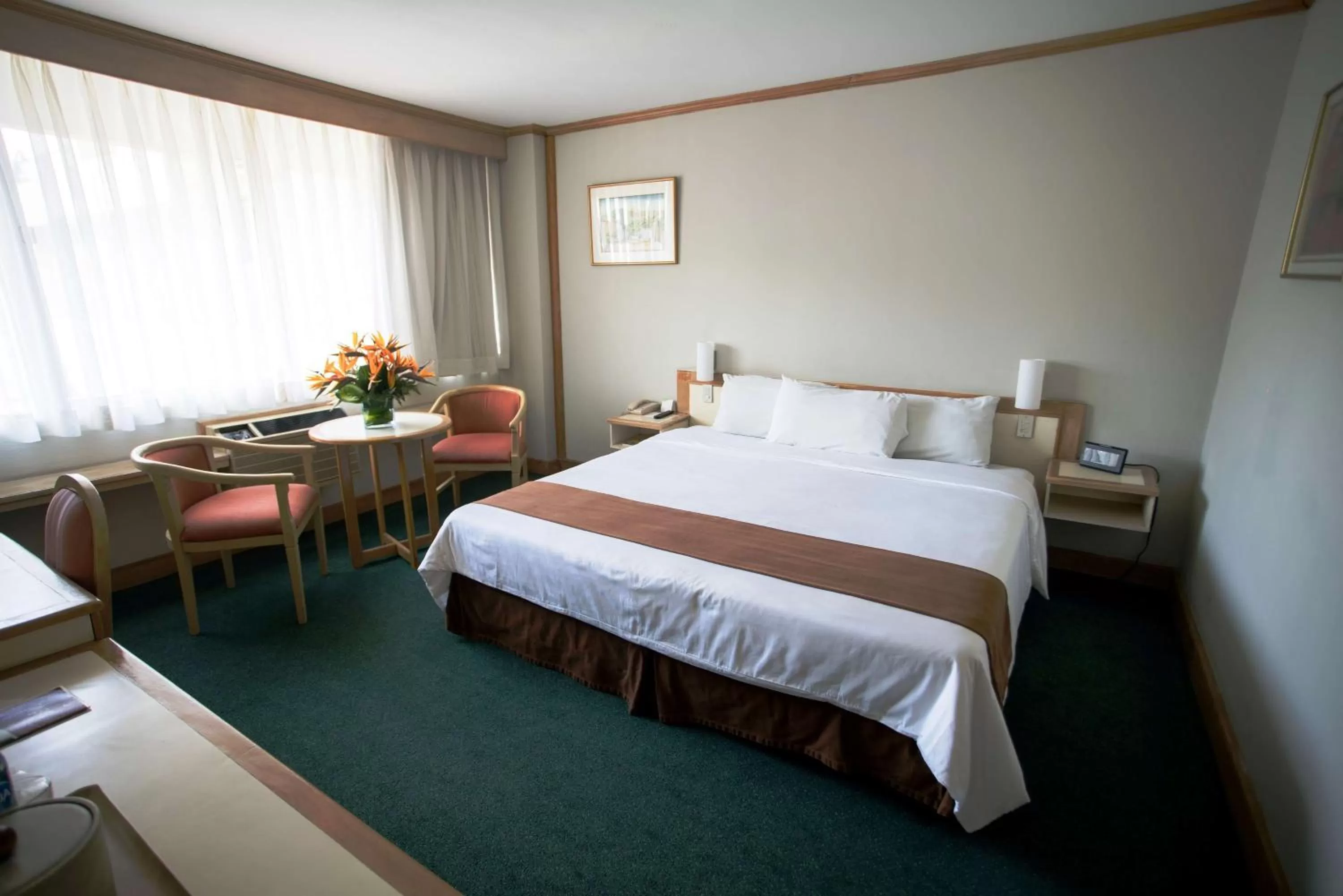 Photo of the whole room, Bed in Best Western Plus Hotel Terraza