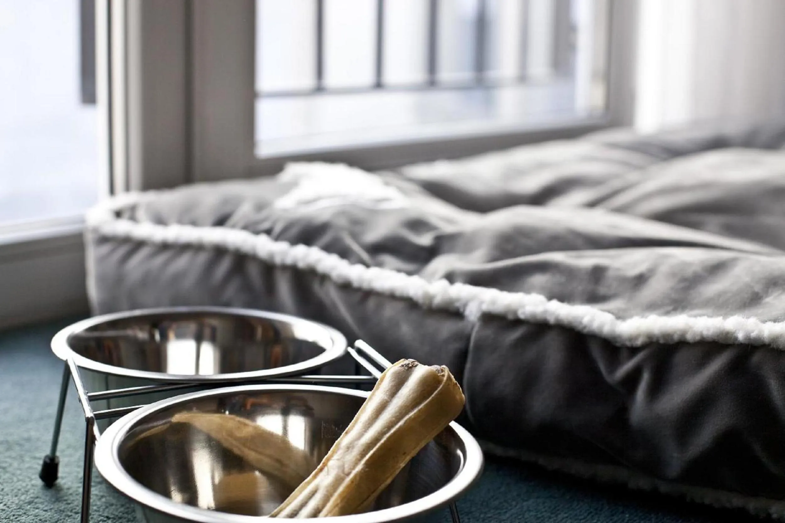 Pets, Bed in relexa hotel Stuttgarter Hof