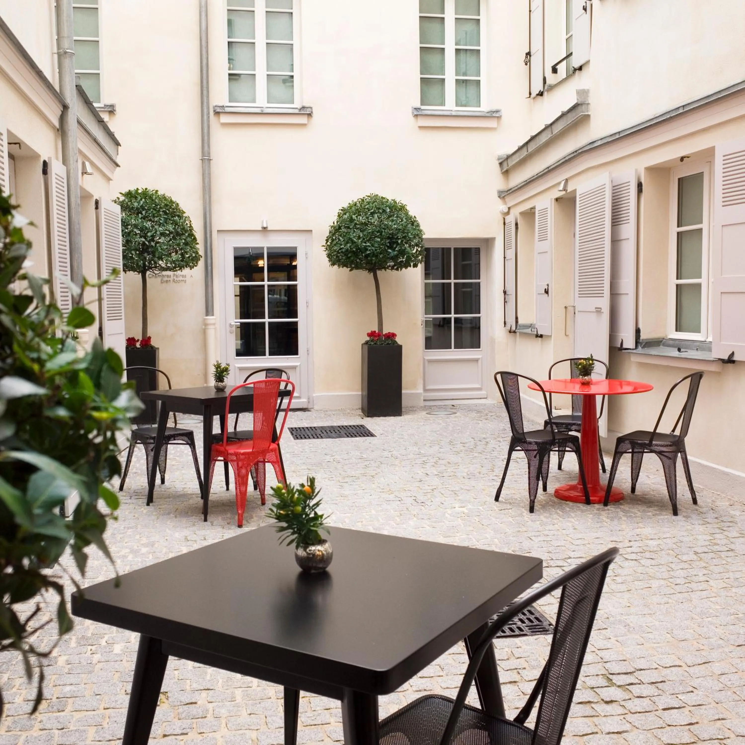 Area and facilities in Hotel Saint Dominique