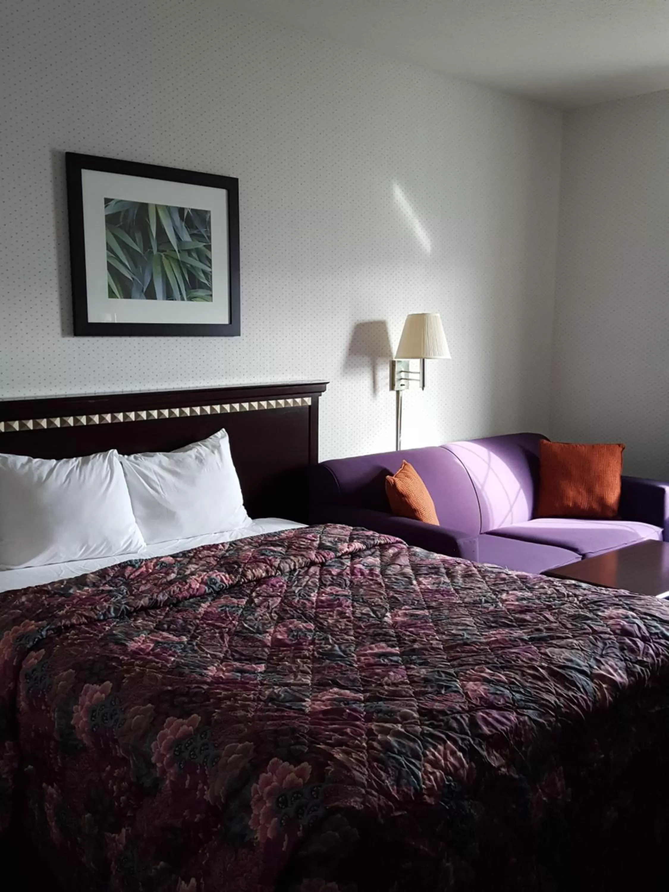 Queen Room - Non-Smoking in Rodeway Inn Urbana Champaign University Area