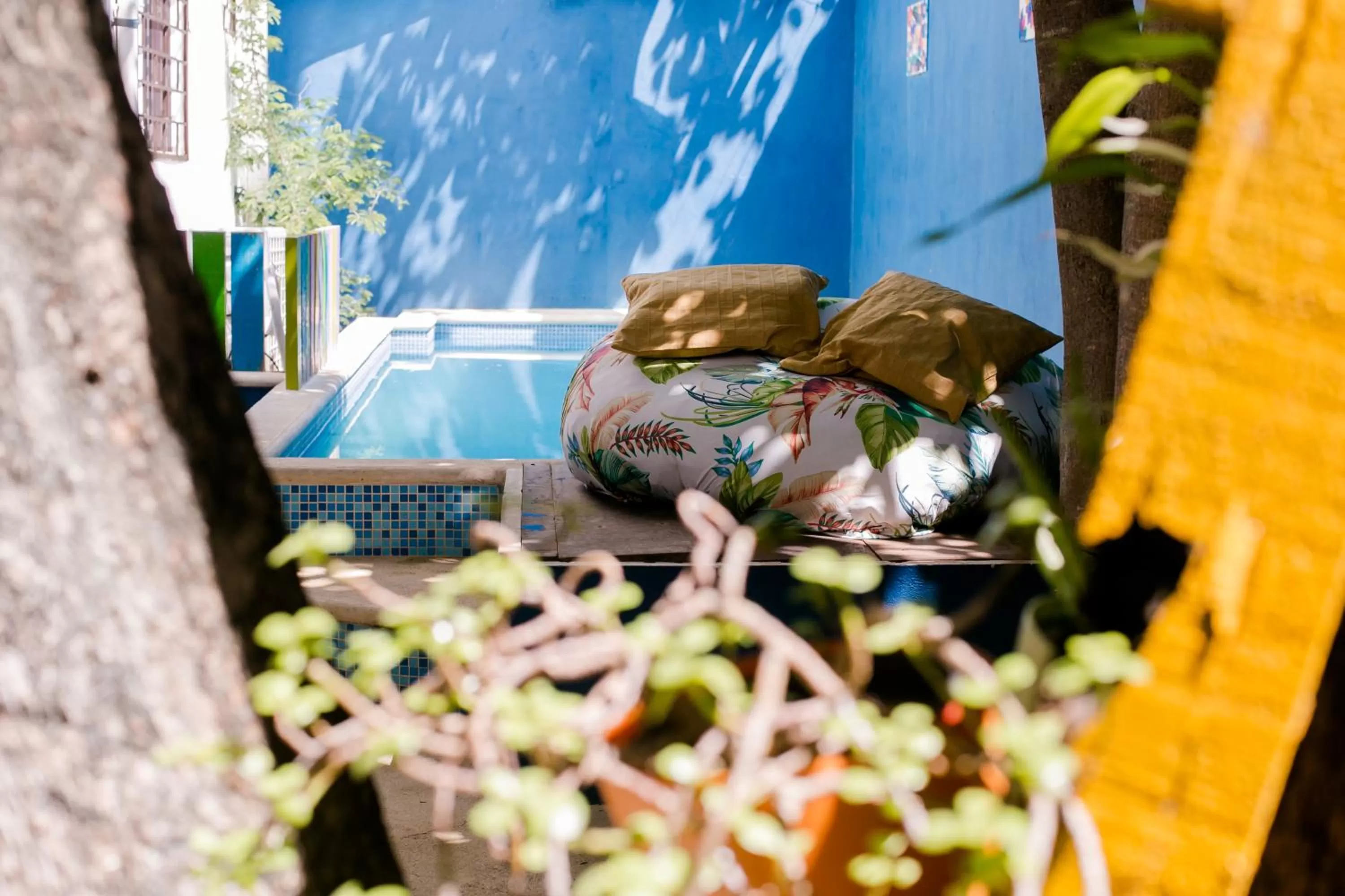 Swimming pool in Vainilla Bed and Breakfast Mexico